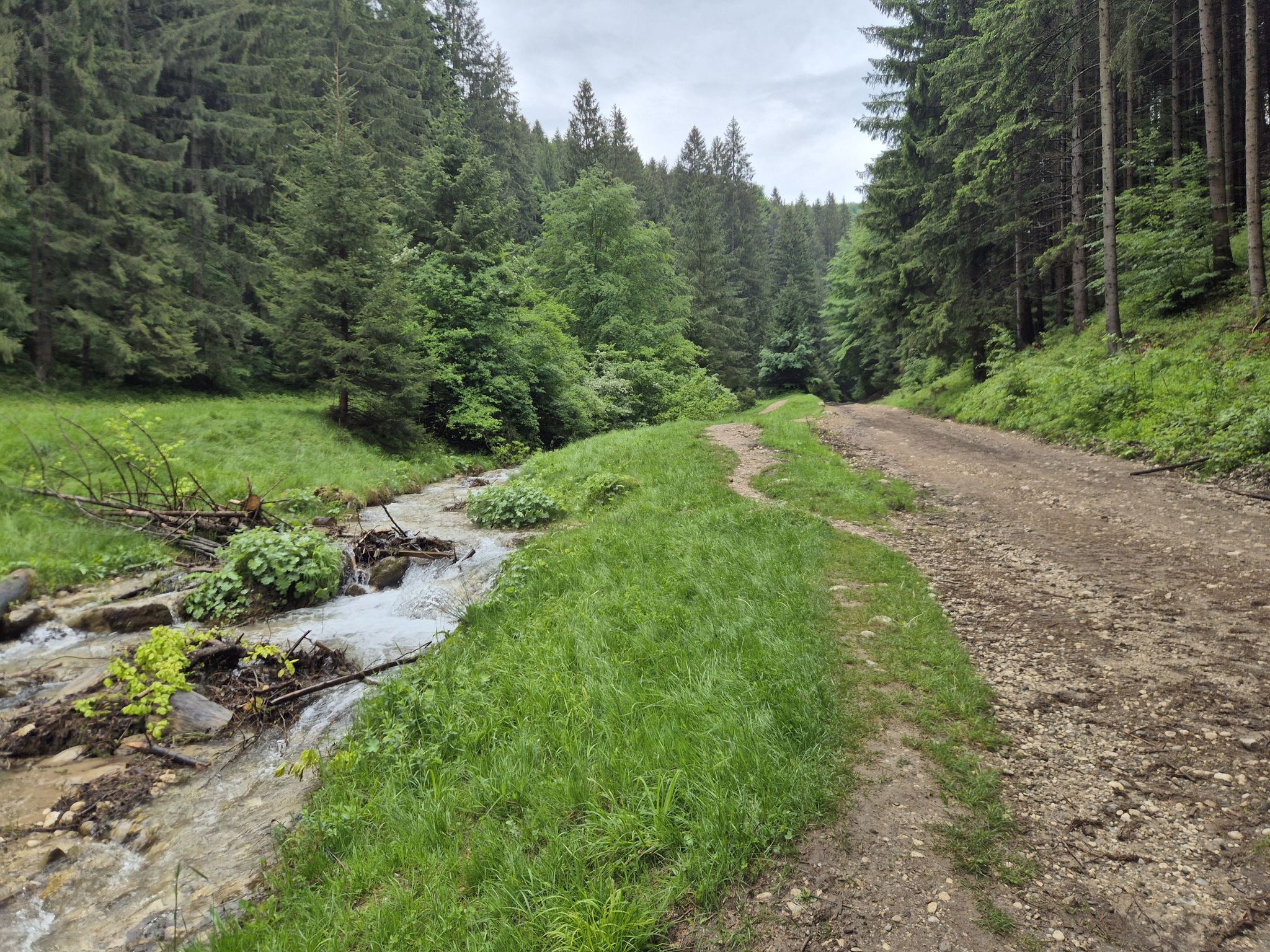 Wildromantisch