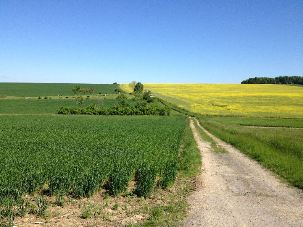 "Singletrail" Teil 2