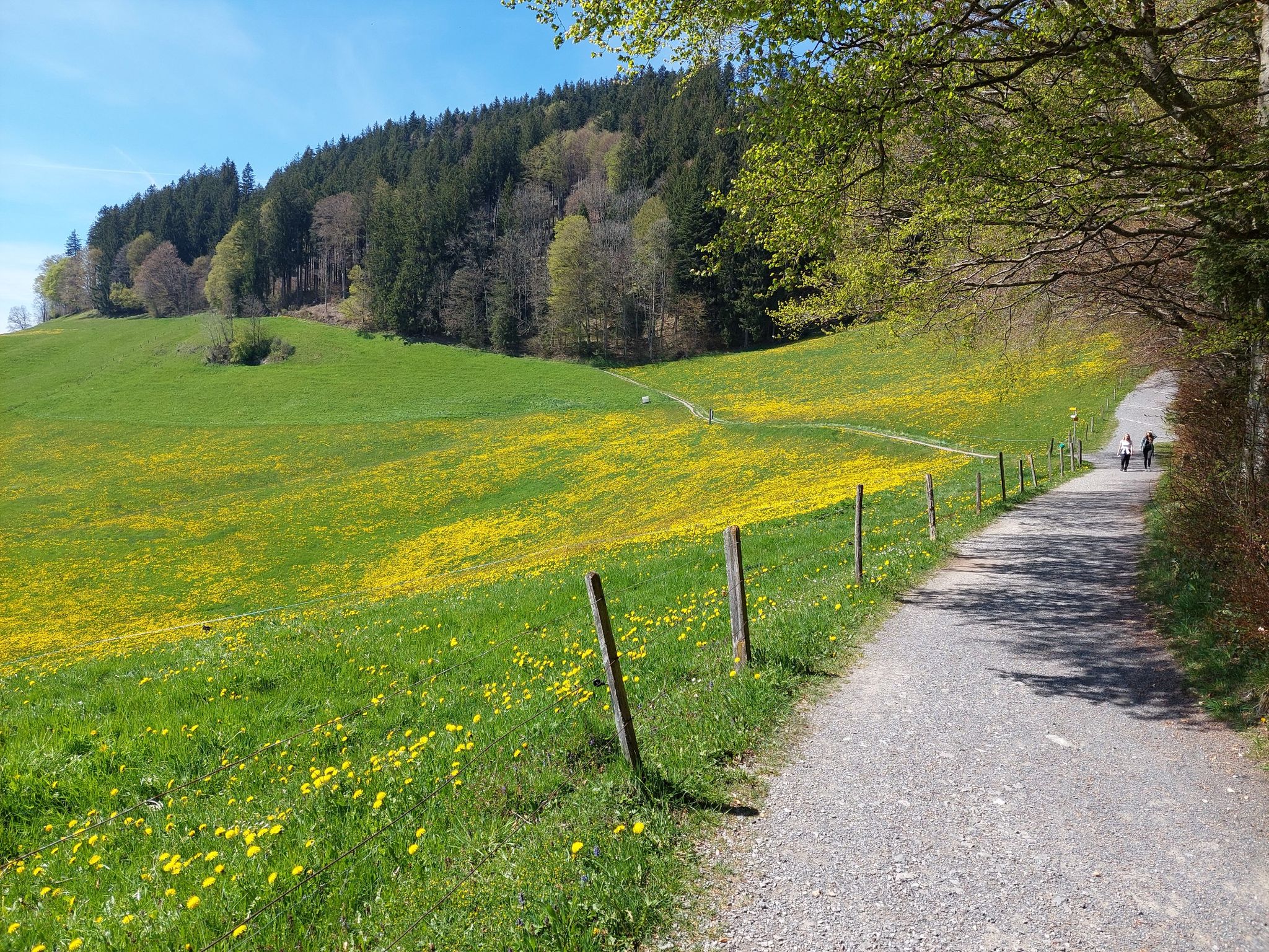 Etzel-Süd-Trail
