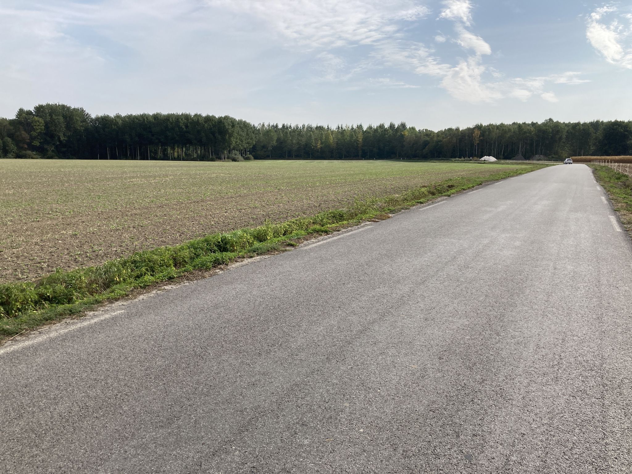 Forêt d’Hasnon