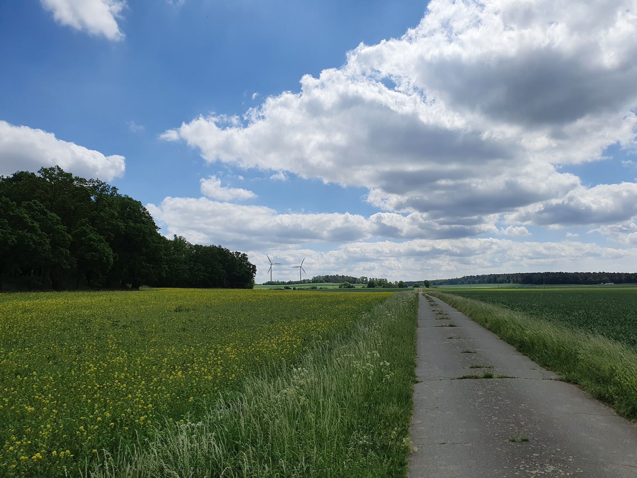 Feldweg
