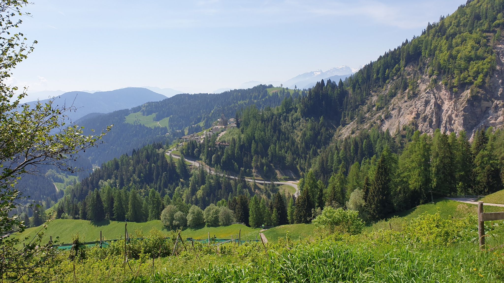 pano1