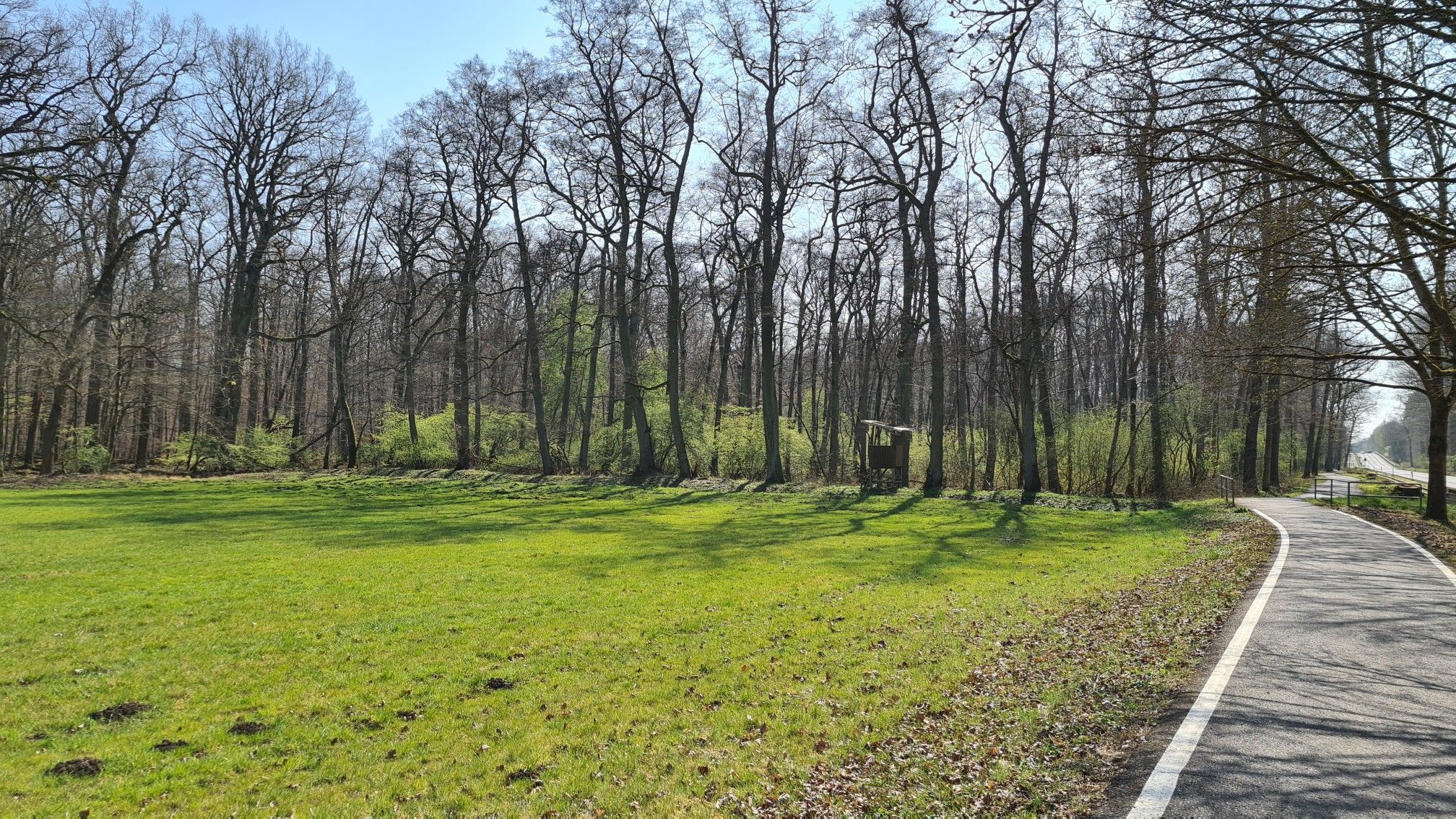 Es grünt...