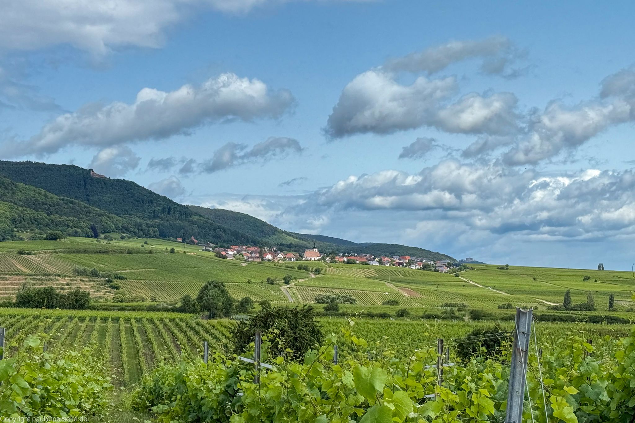 Blick auf Weyher