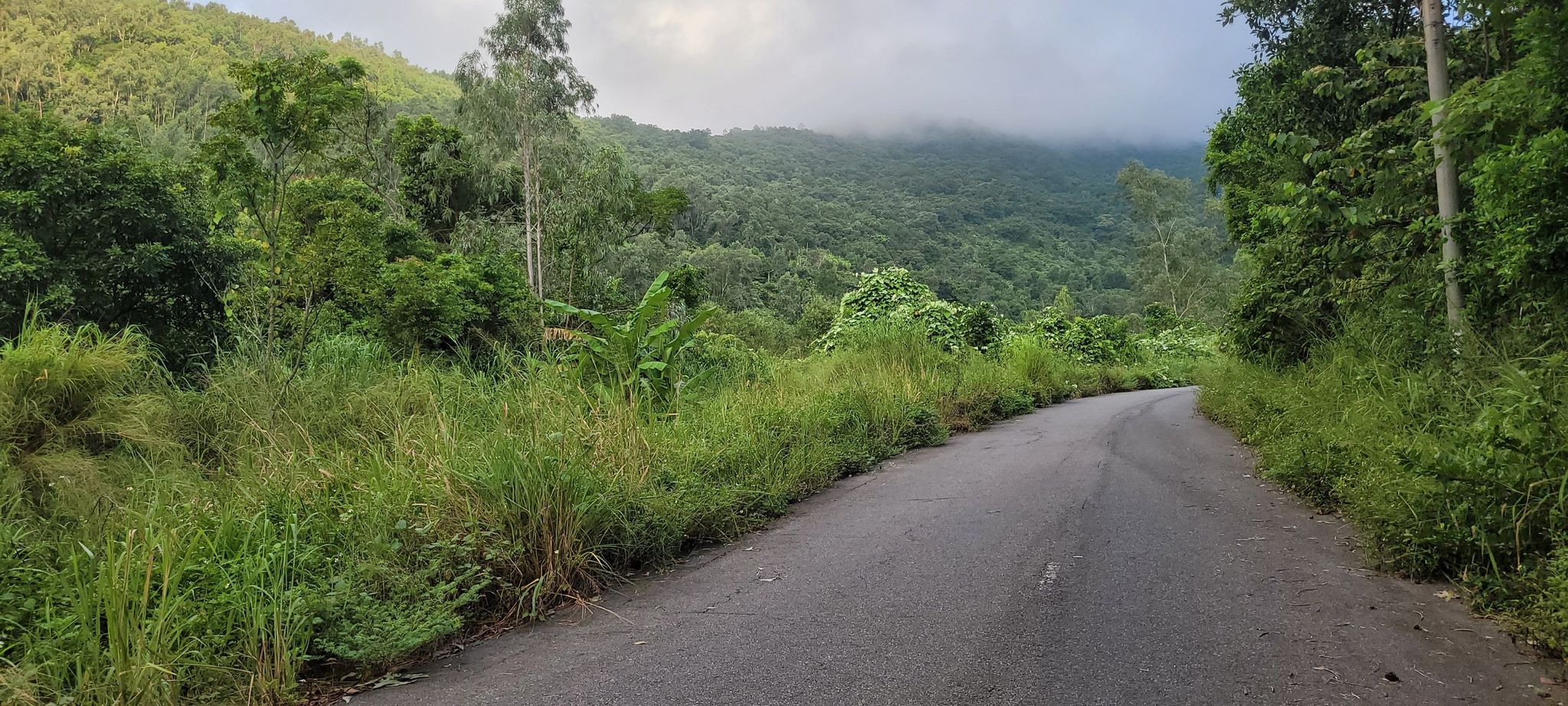 Quiet road