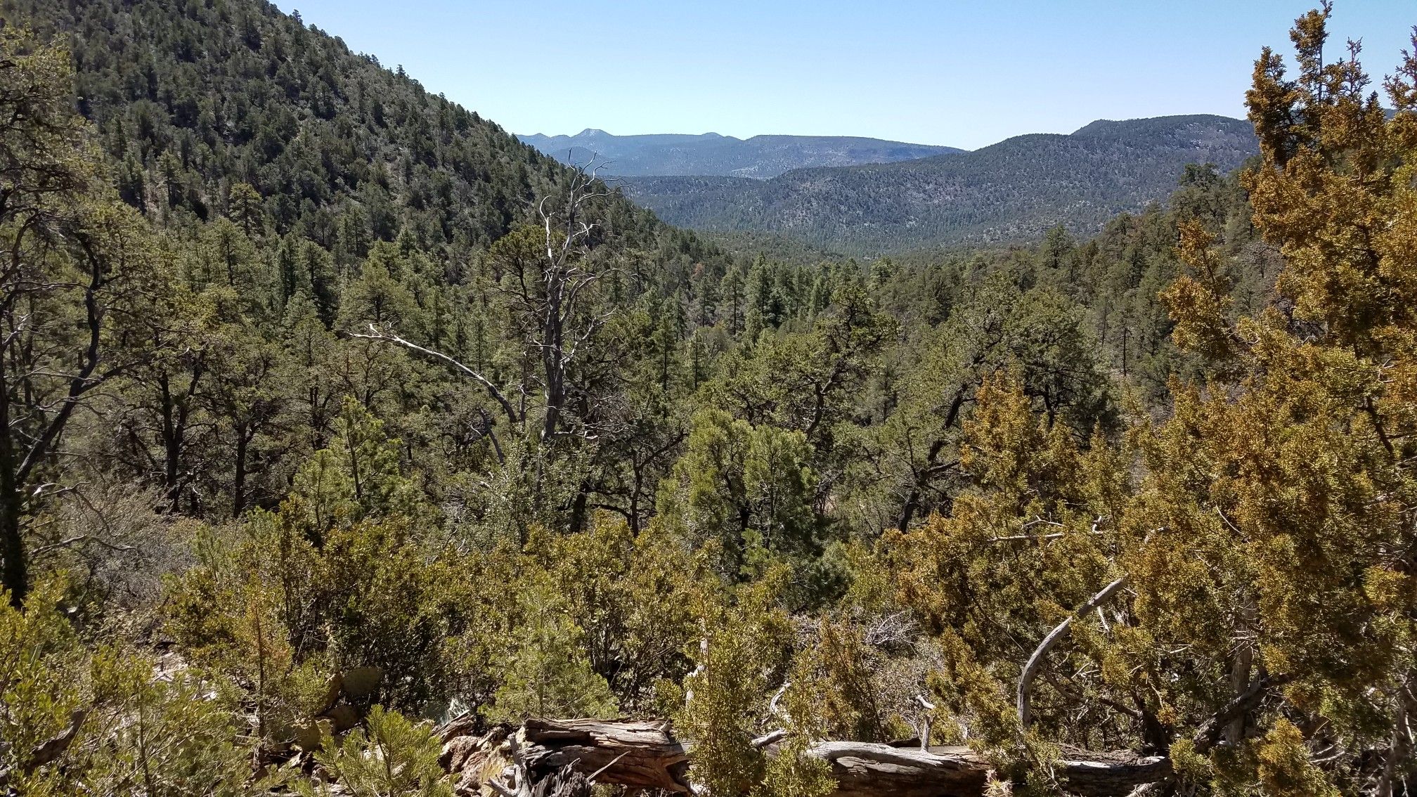 Lush green valley with dense forest and distant mountains under clear sky. - Oaks And Willows Trail