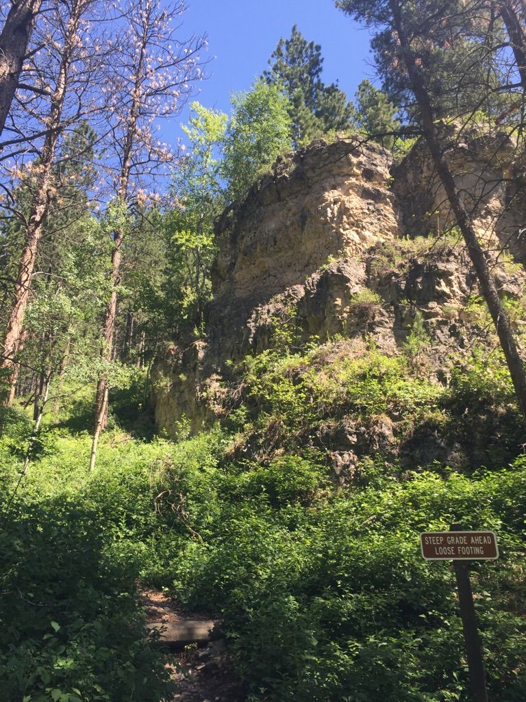 A tall rocky cliff rises above a lush green forest path. - '76 Trail