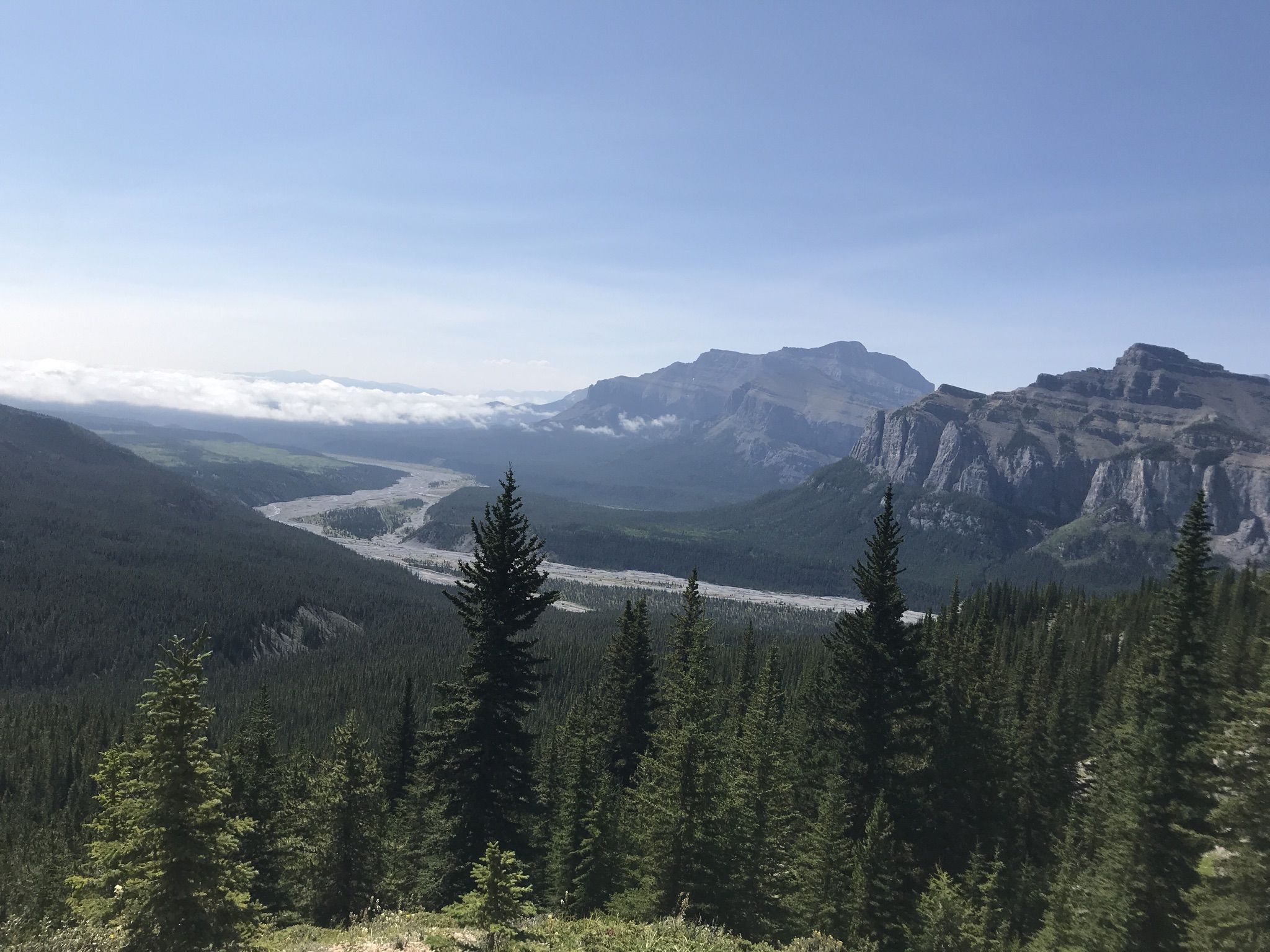 Our picknick view