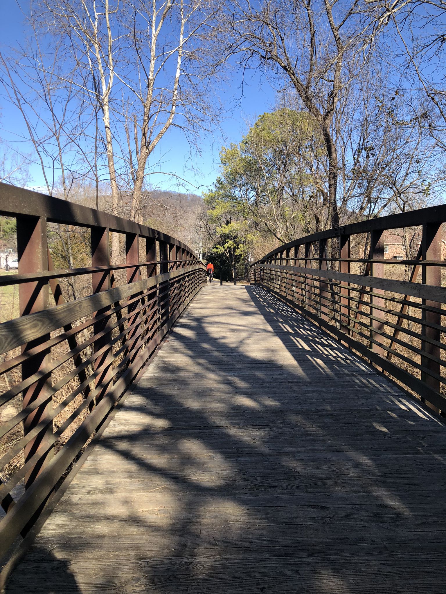 Long pedestrian bridge with a person walking, sunny day, bare trees. - Percy Warner Park loop from Manley Lane