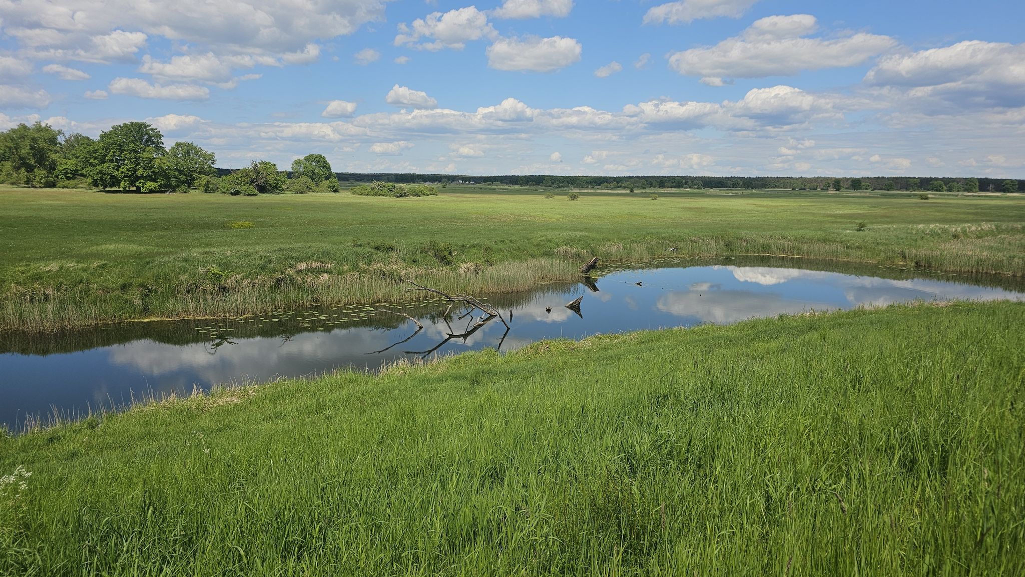 Flußdelta