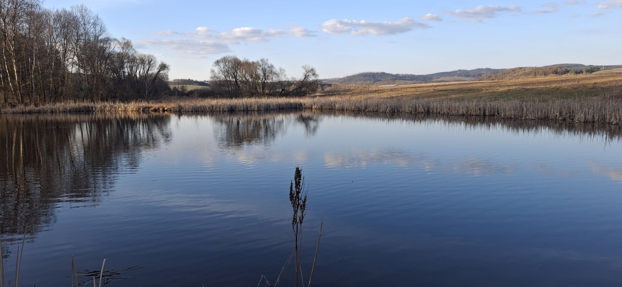 Gossmannsroder Teich