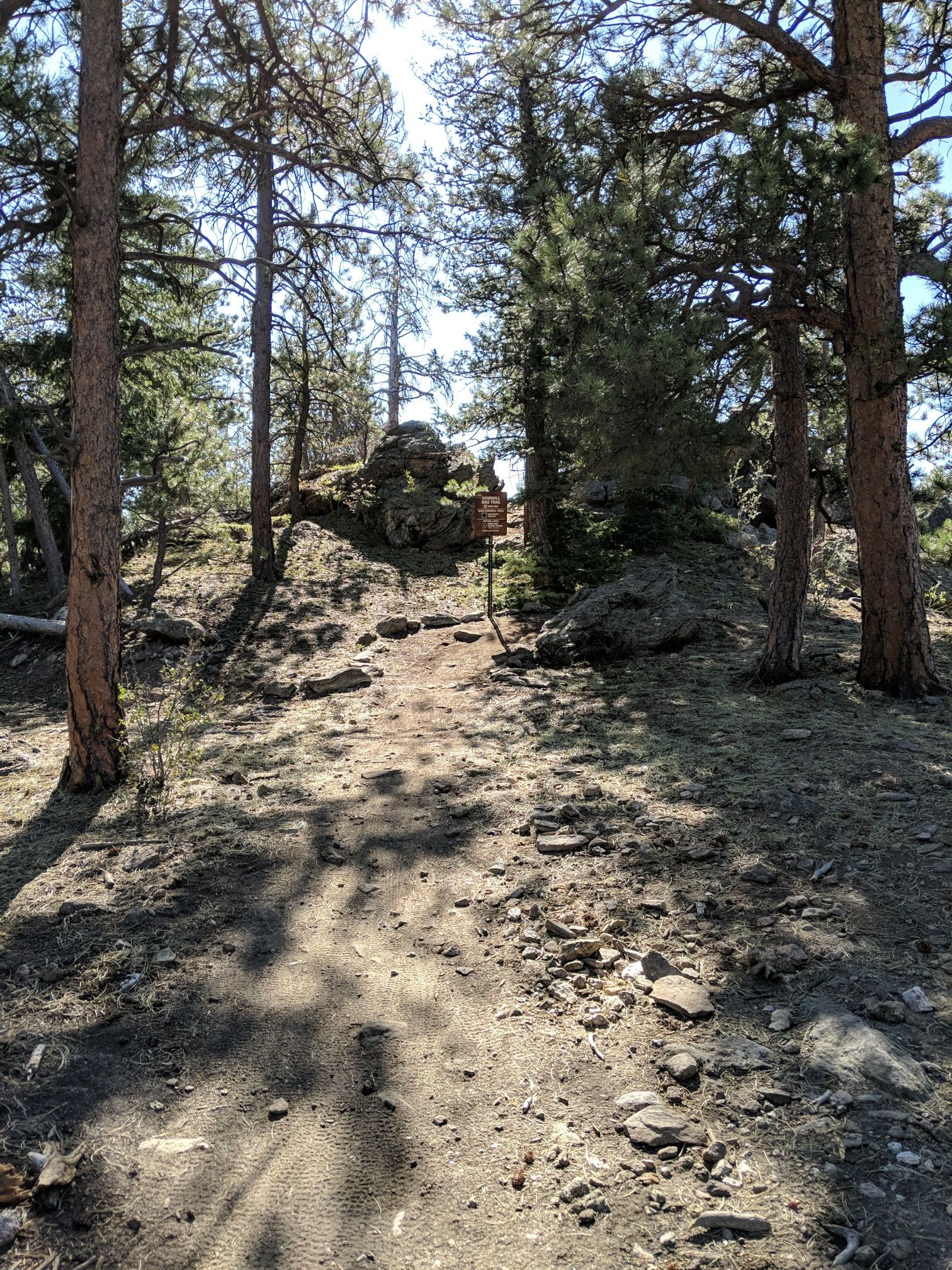 A sunlit dirt path winds uphill through a rocky, pine forest. - Portal and Outer Loop