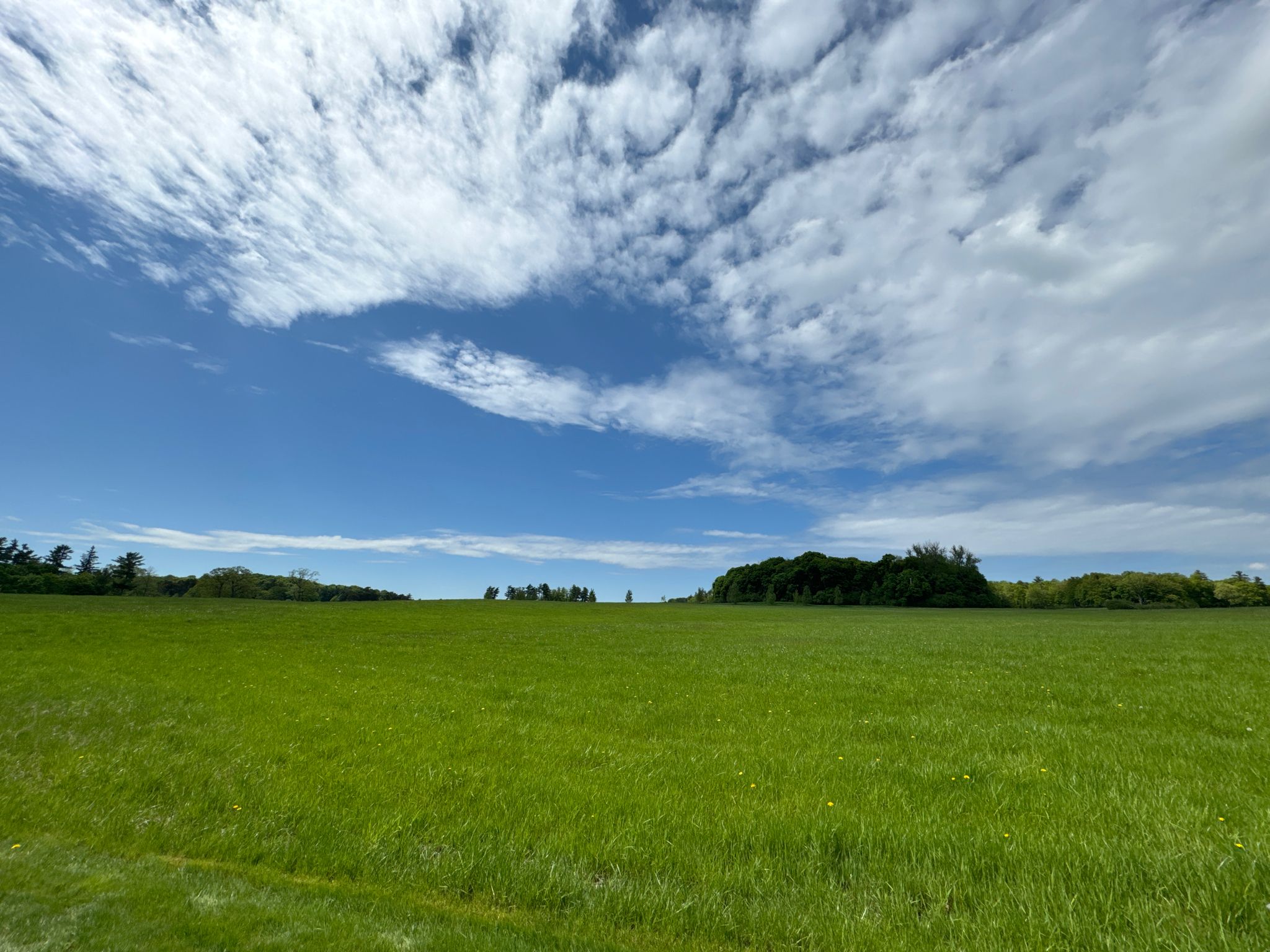 Vast green field under a bright blue sky with scattered white clouds. - Shelburne Farms to Lone Tree Hill Loop