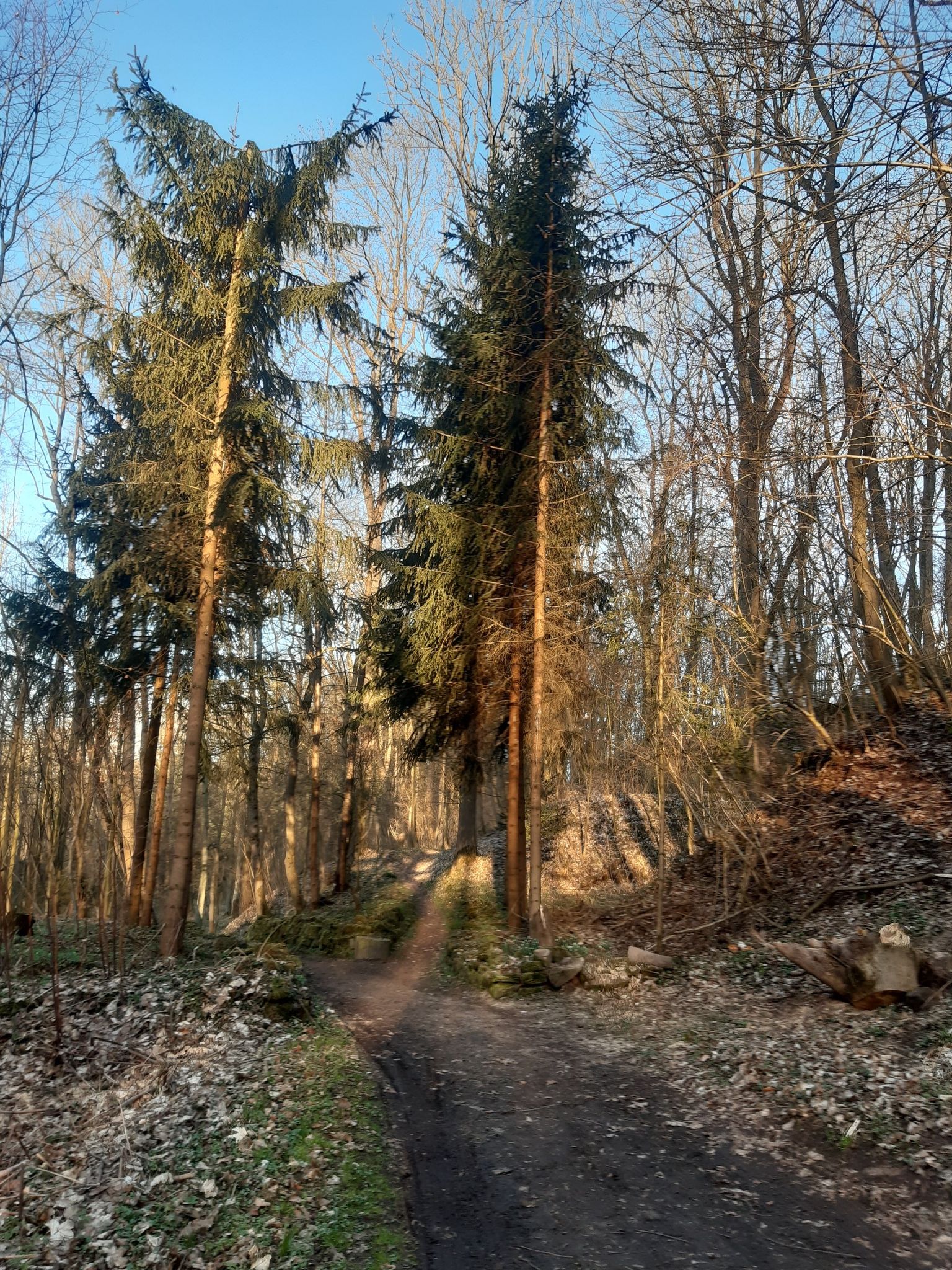 im Saubachtal