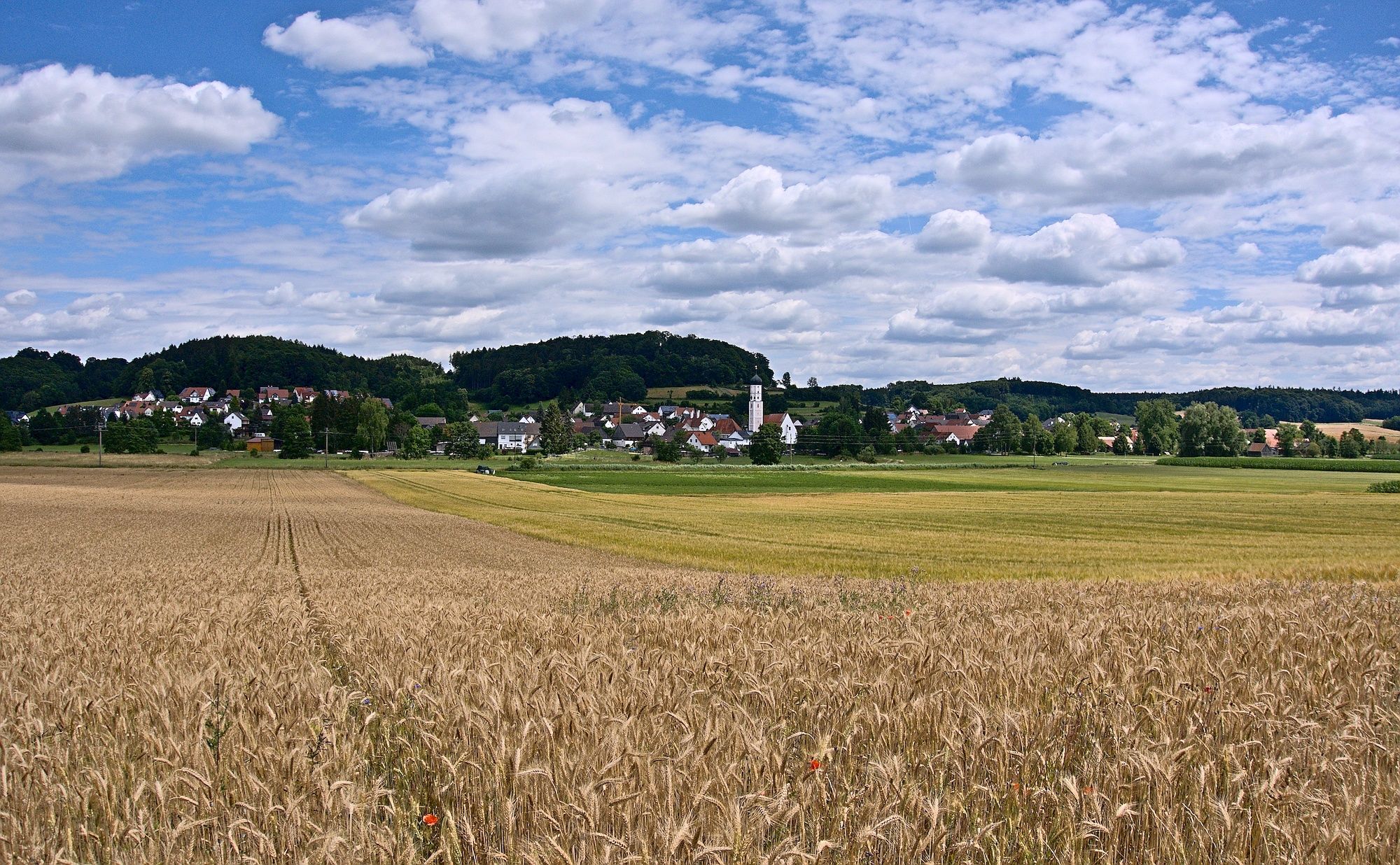 Blick auf Steinekirch (Zusmarshausen)
