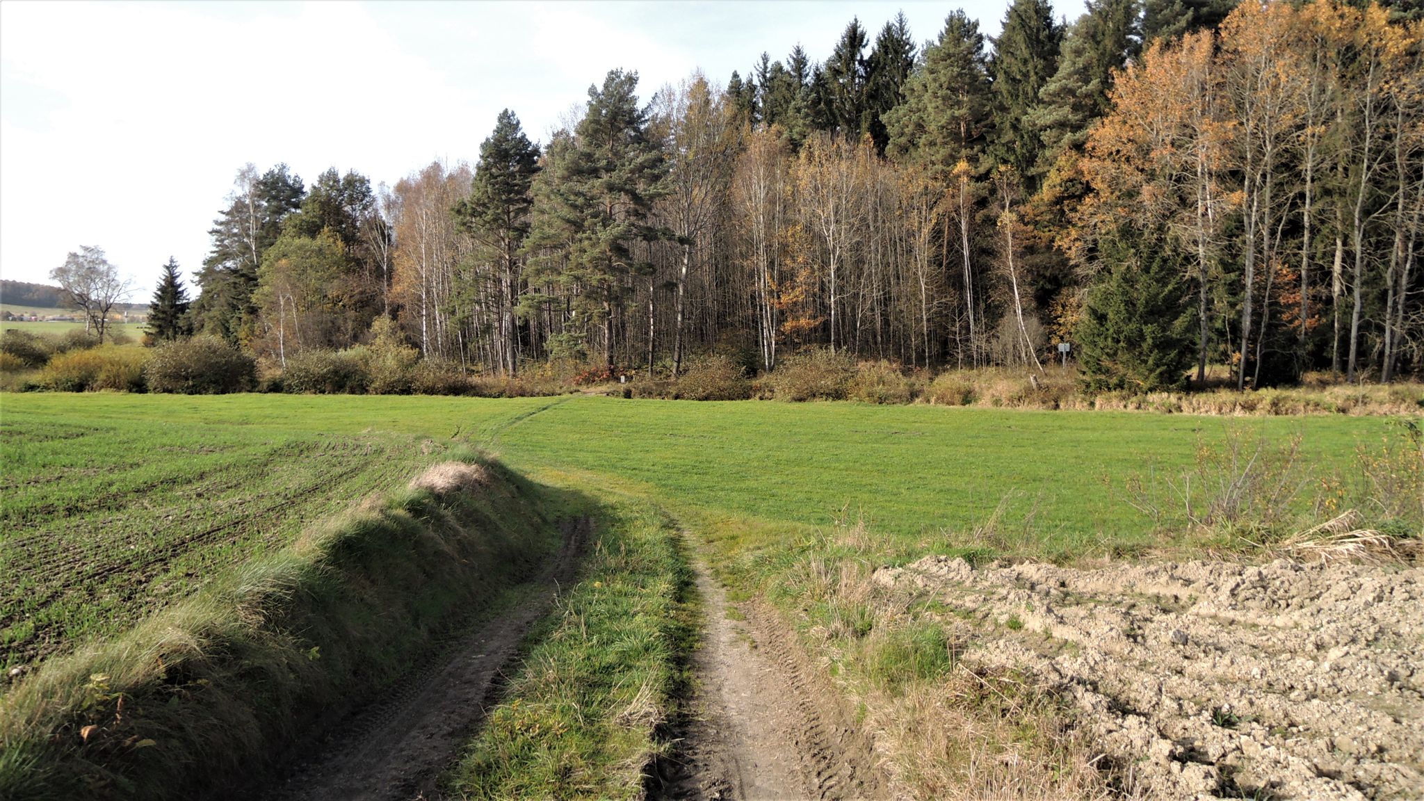 A-CZ  Verbindungsteig liegt vor mir -  Weitere Fotos siehe HIGHLIGHT