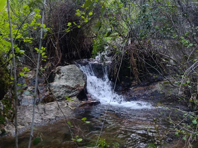 La Contienda - Barranco Laureles - V.G.El Cejo - V.G Torre Agua ...
