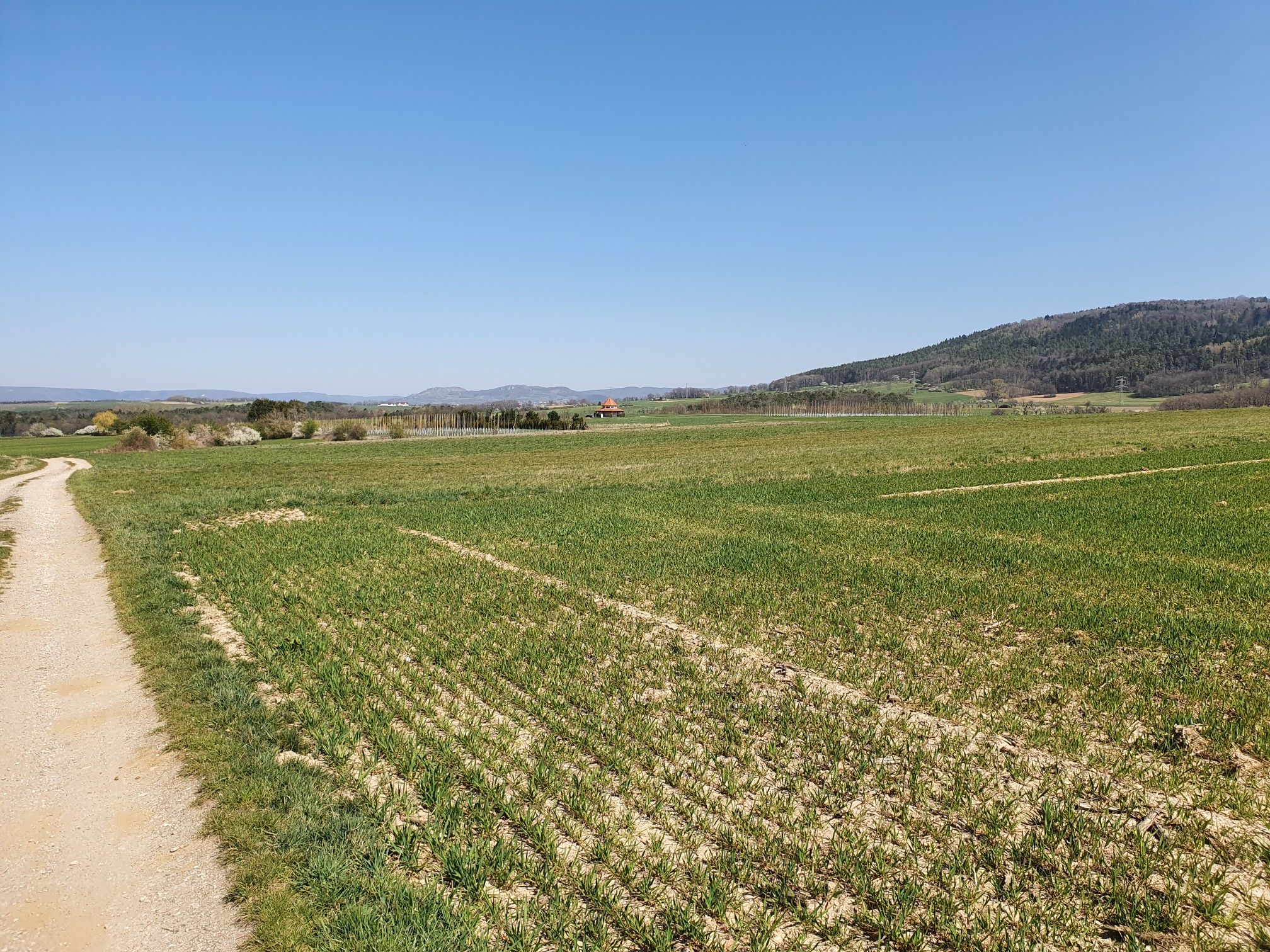 Weitblick