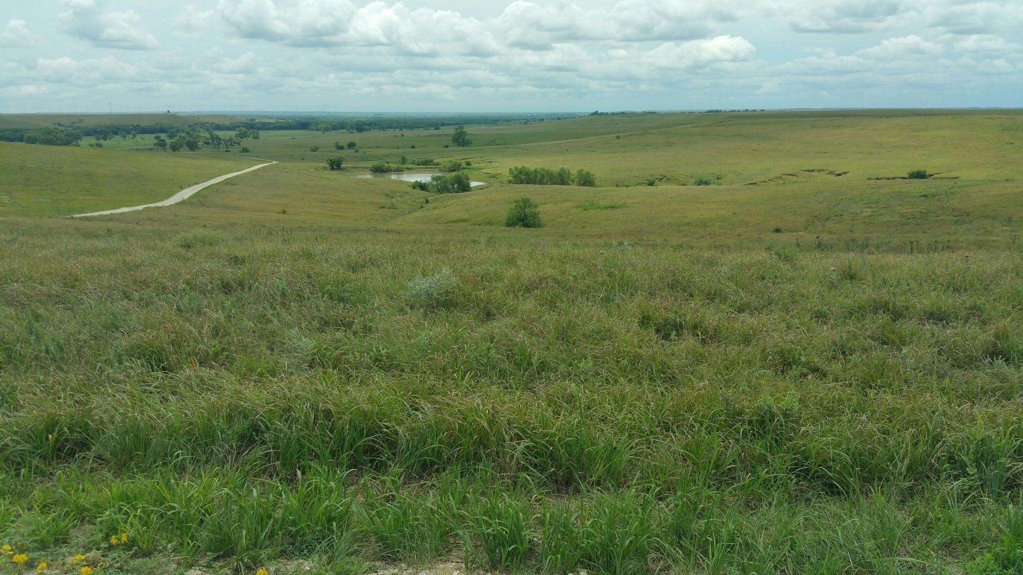 Expansive green grassy hills with a dirt road and pond under a bright sky. - Scenic Overlook Trail