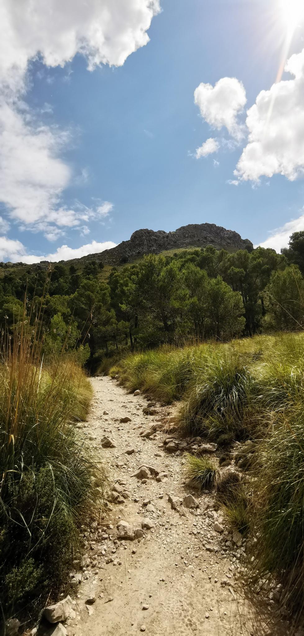 ES 🇪🇸 Puig Des Tossals Verds — Rundweg Durch Das Naturgebiet Der Serra ...