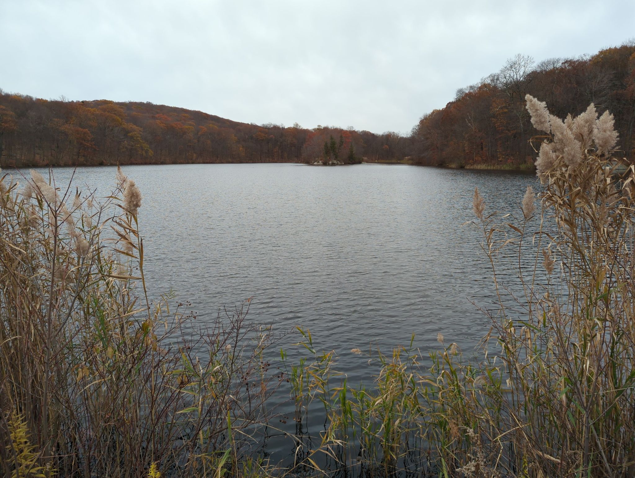 Overcast day over a dark lake with tall reeds and autumn hills. - Taylortown Reservoir – Morris Canal loop from Walnut Street