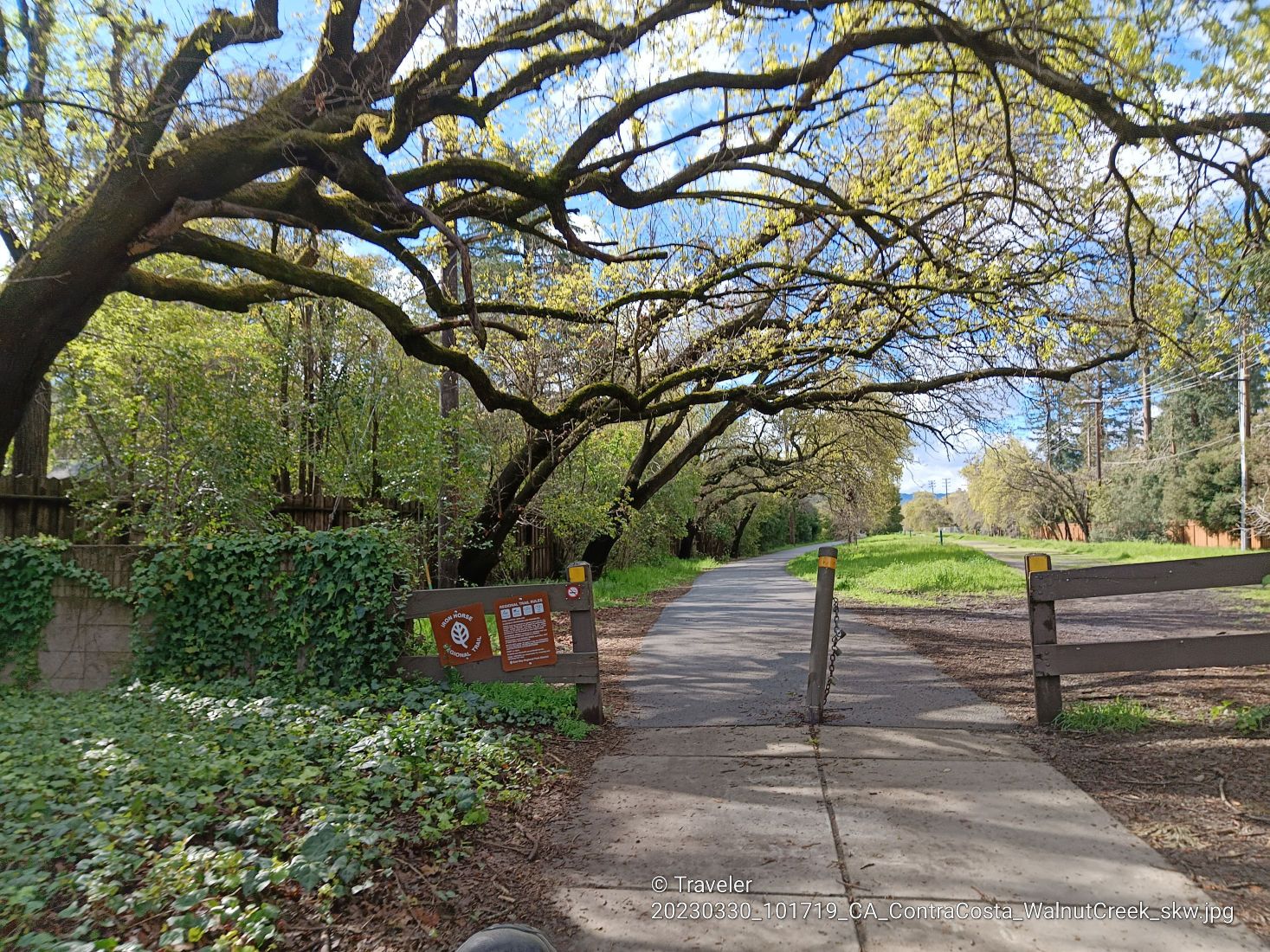A paved path entrance with a wooden gate and large, leafy overhanging trees. - Iron Horse Trail bridge – Iron Horse Trail junction loop from Pleasant Hill
