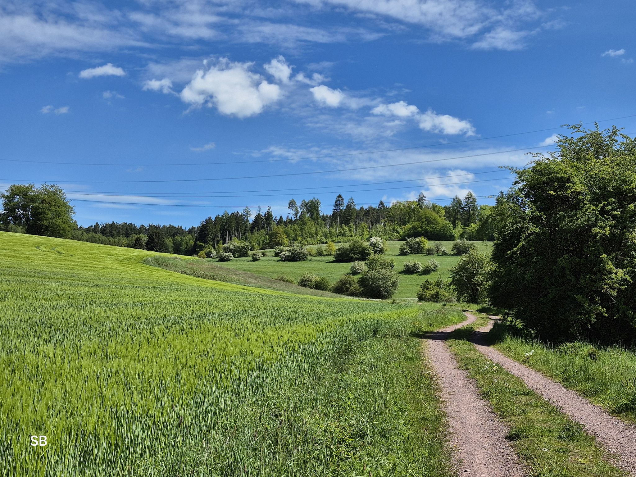 Unser Weg nach Schleusingen