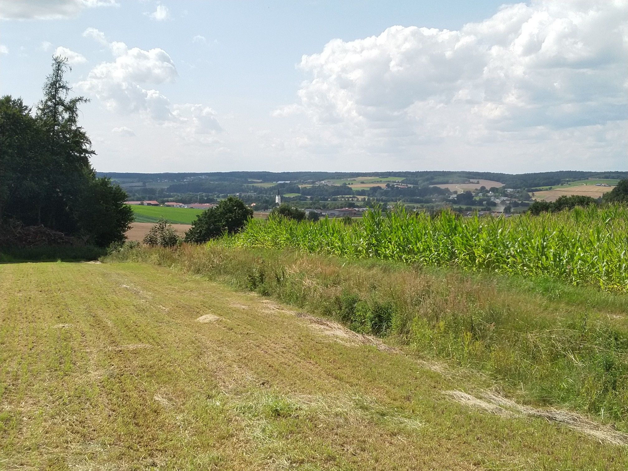 Zwischen Simbachtal und Vilstal