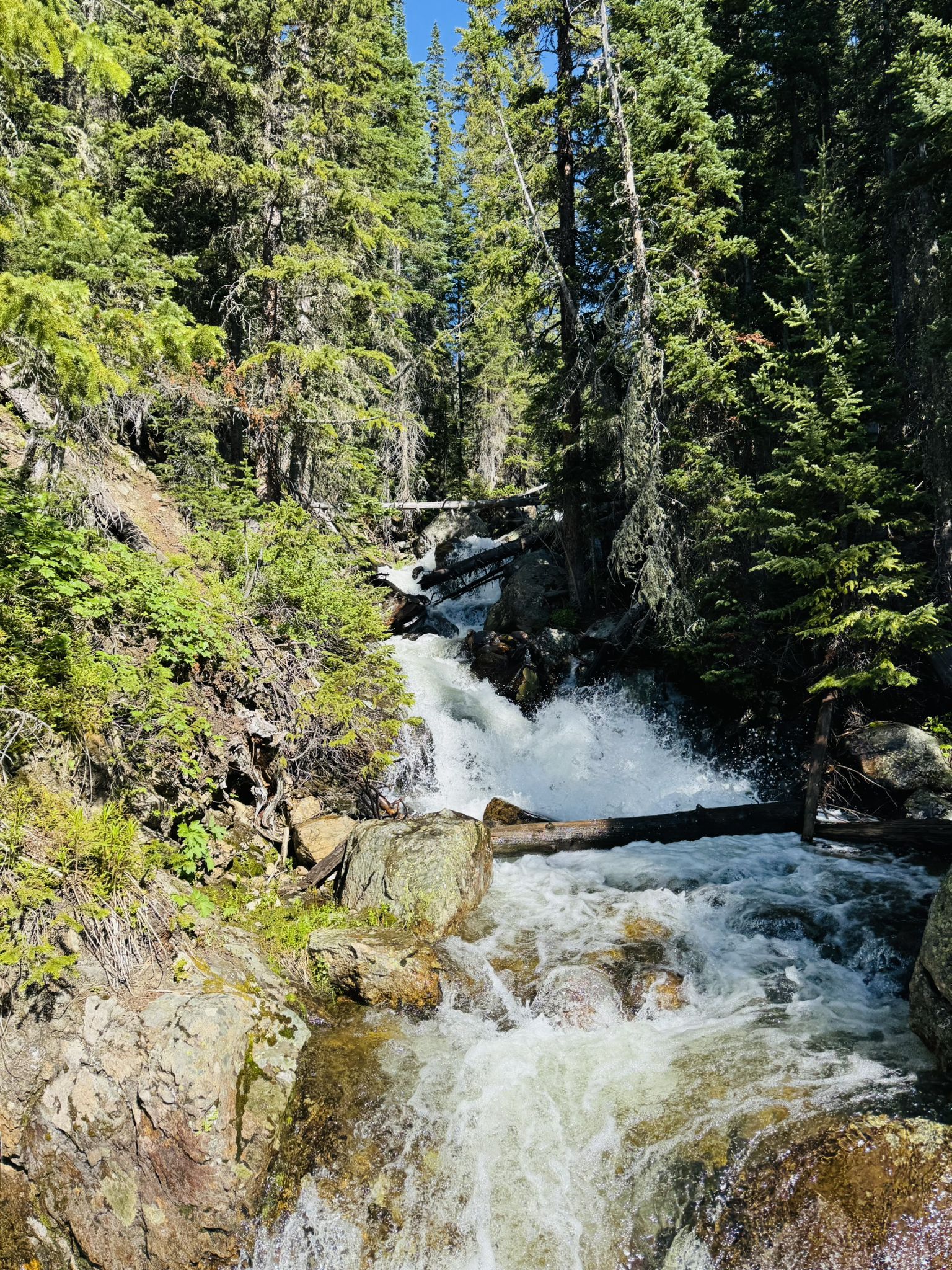 Rushing waterfall cascades over rocks through a dense, sunlit green forest. - Forest Lakes Trail