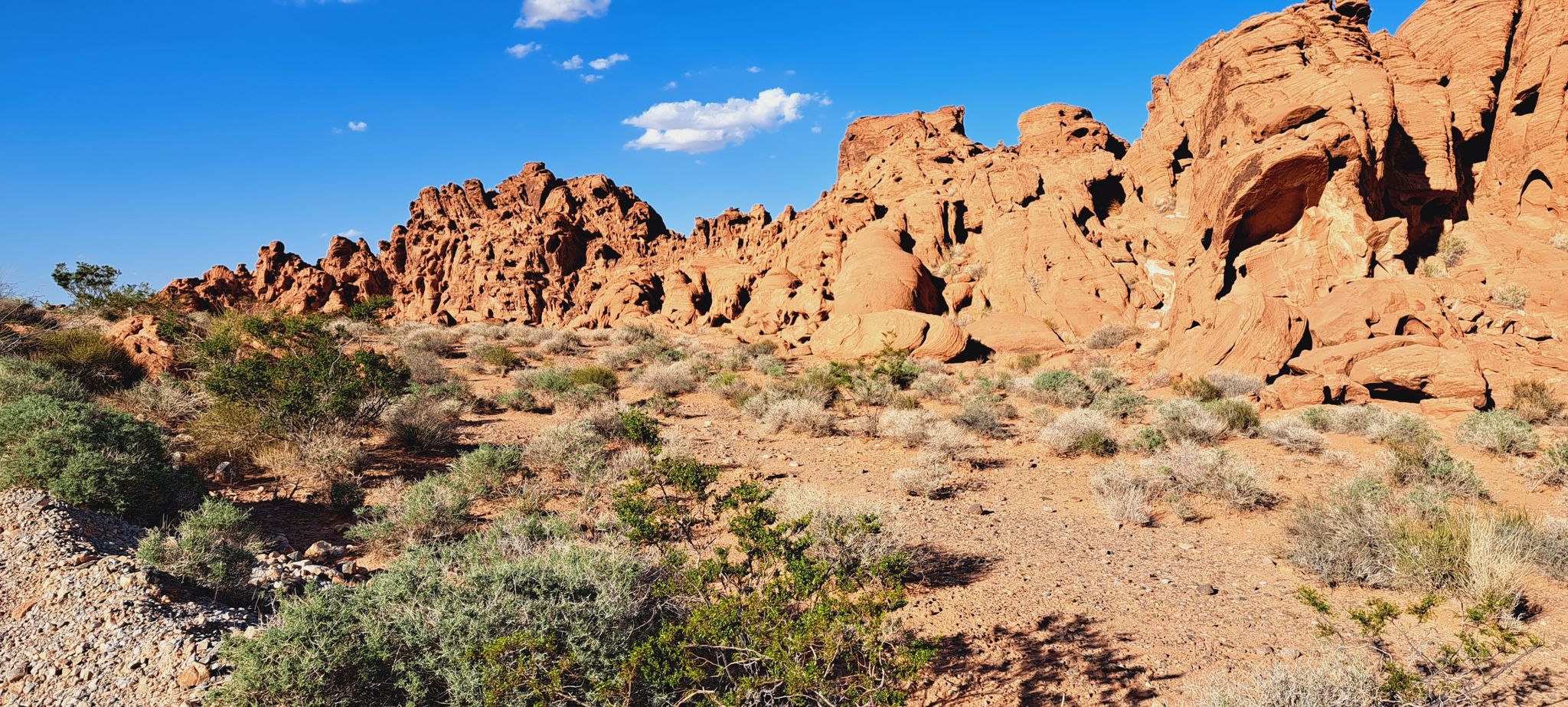 Red rock formations and desert shrubs under a bright blue sky. - Arch Rock, Beehives, and Petrified Logs loop