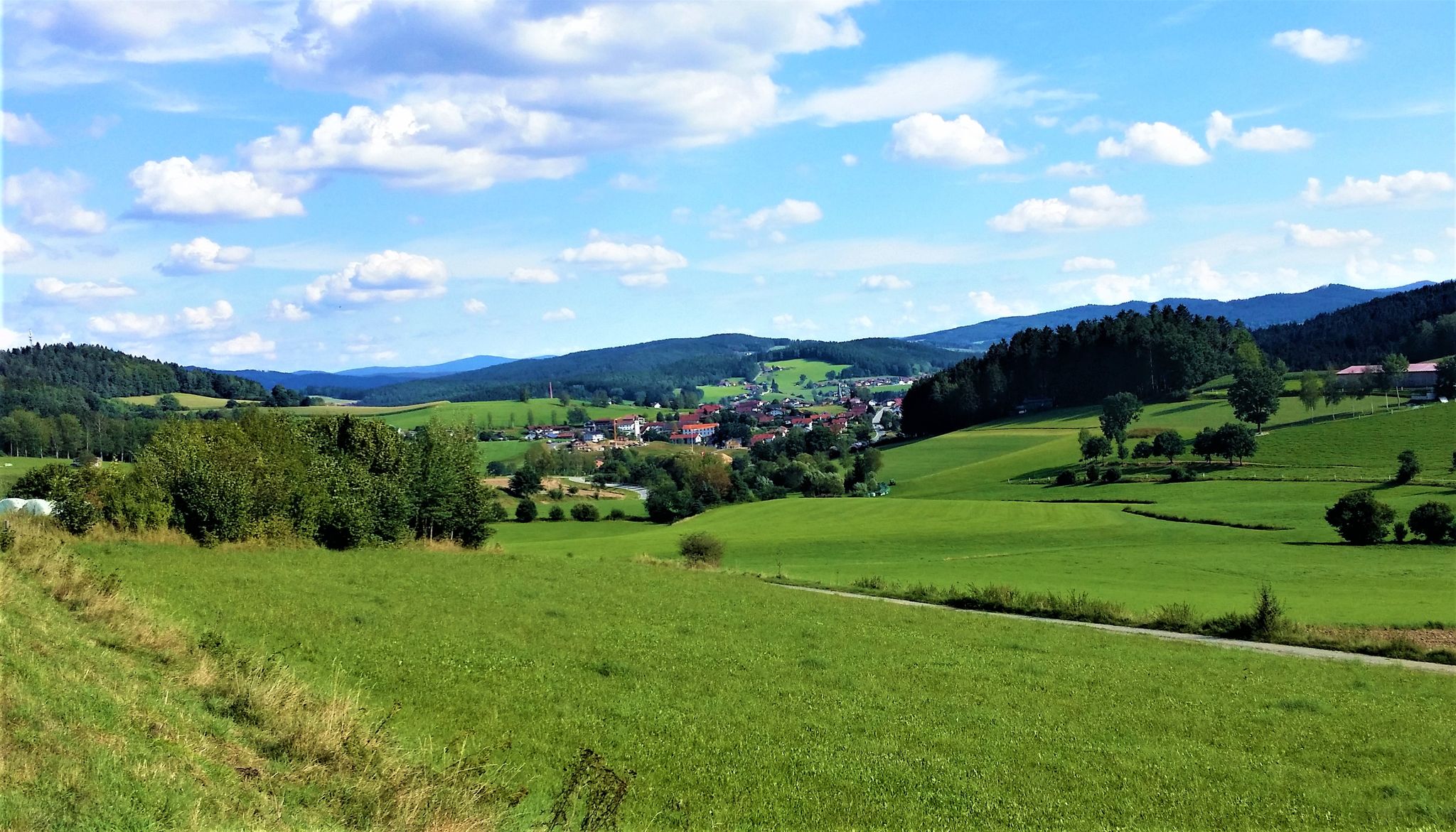 Blick auf Geiersthal
