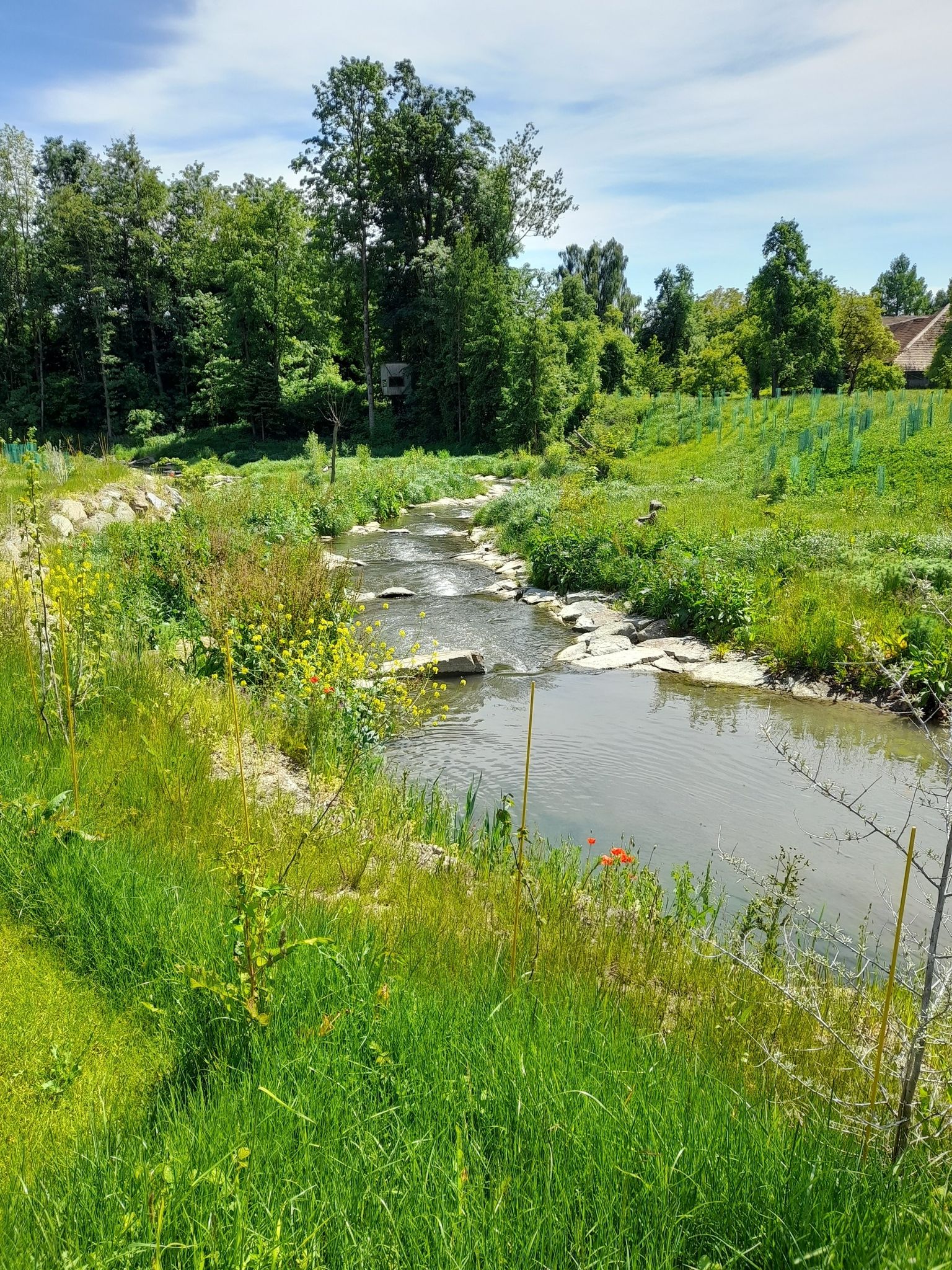 Trattnach