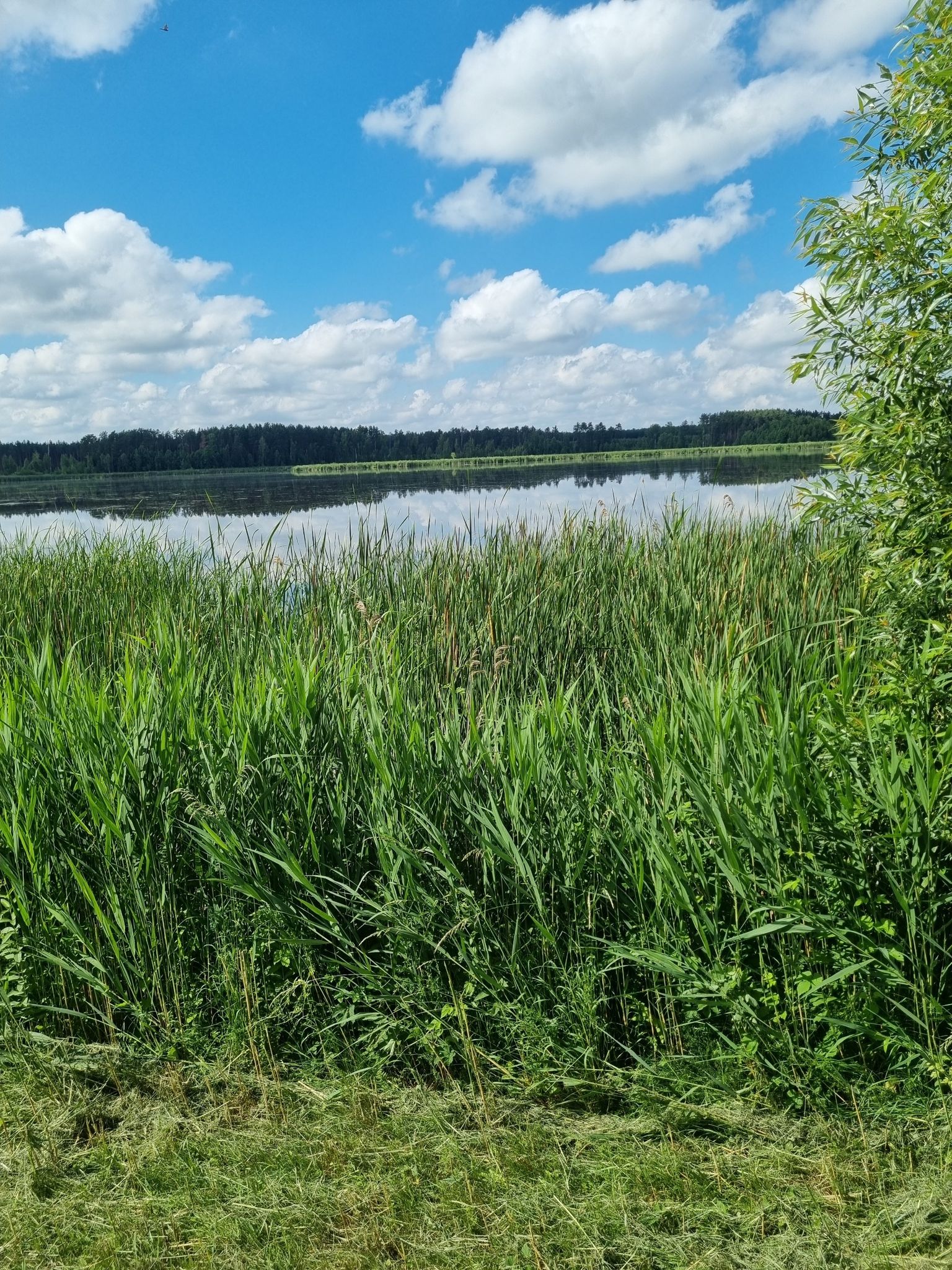 droga pomiędzy dwoma jeziorami