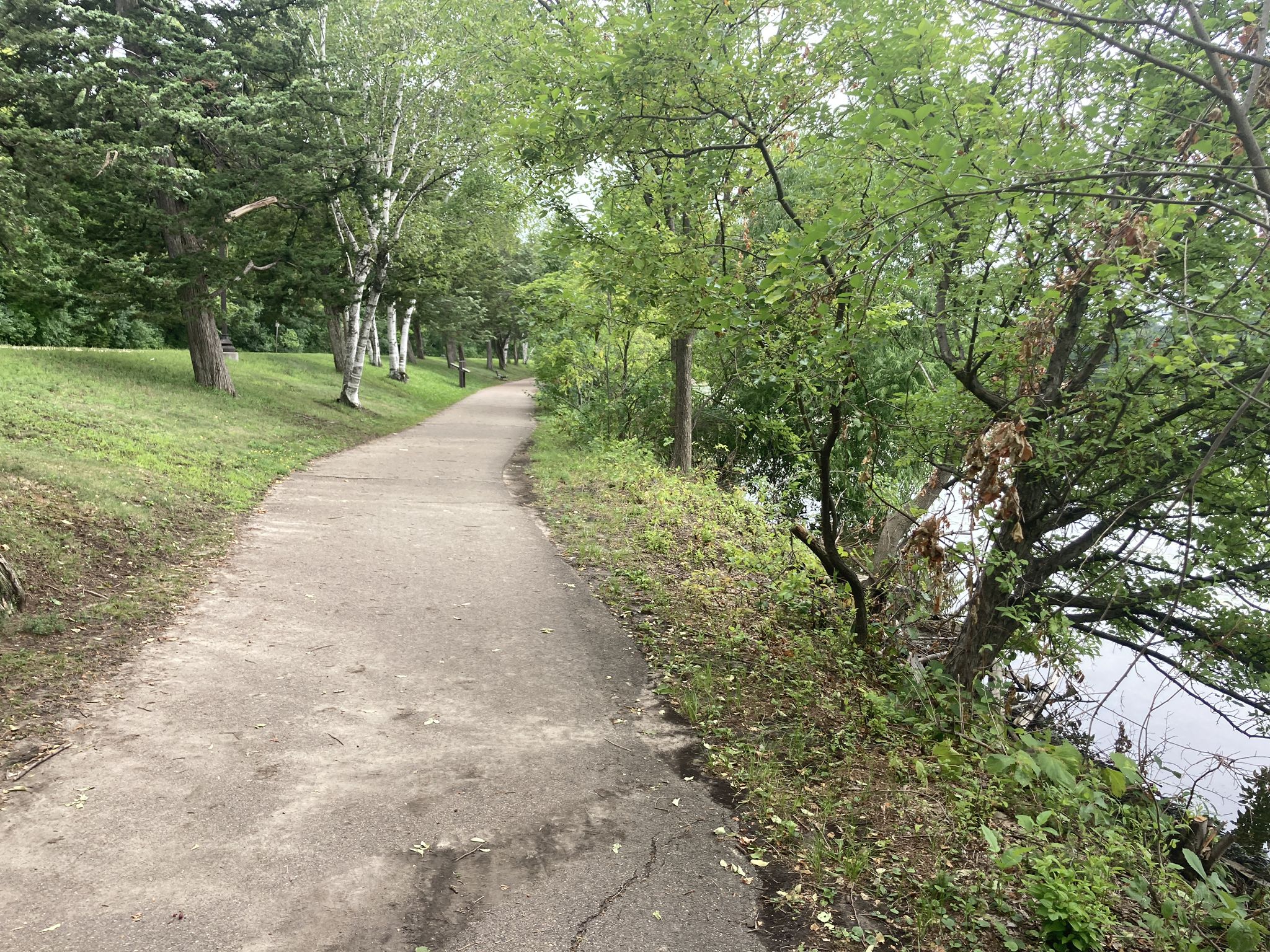 Paved path winding through green trees beside water on an overcast day. - Cedar Lake Loop