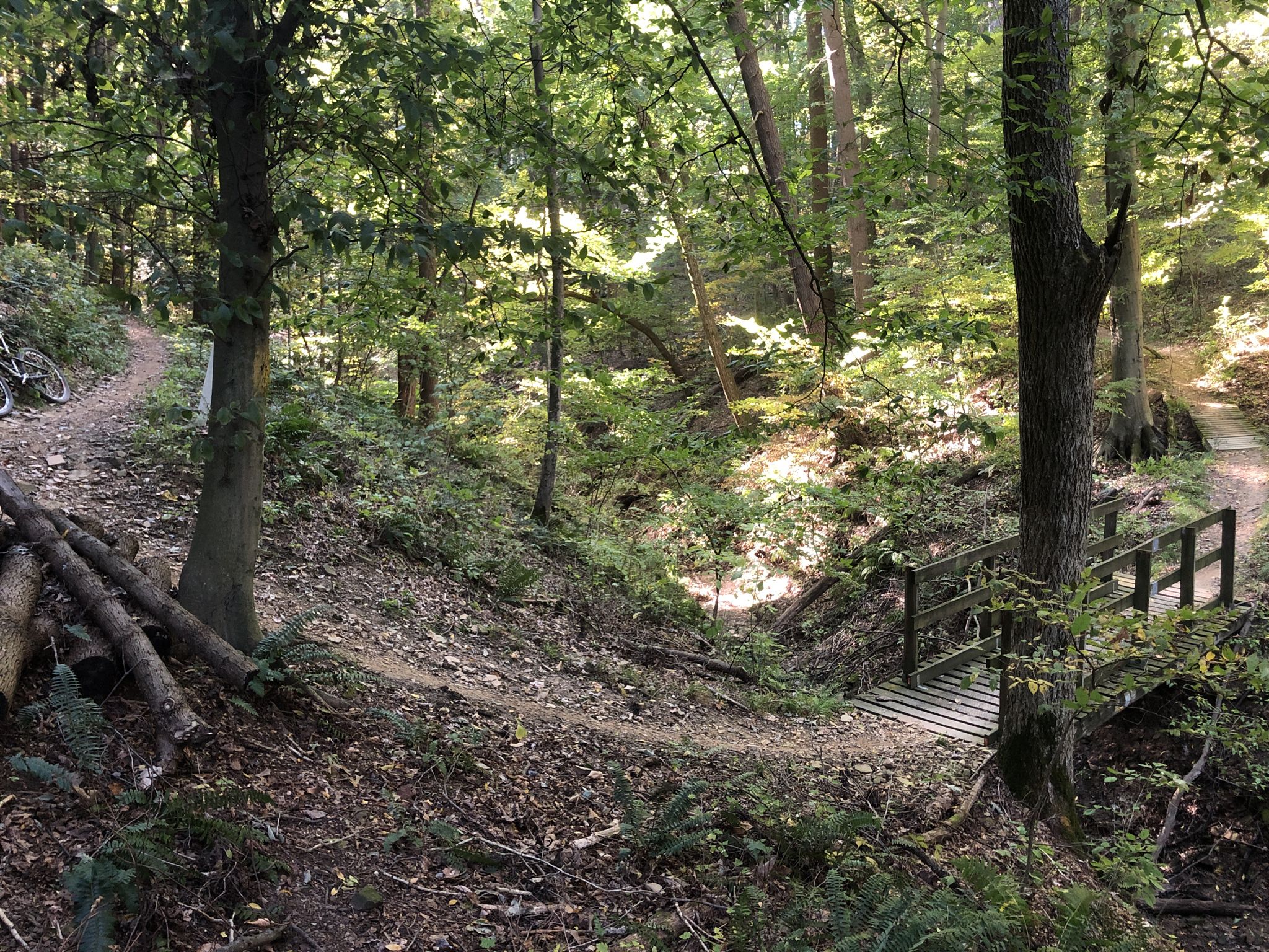 A forest path descends towards a wooden bridge over a small ravine; a bike is visible. - Mohican Mountain Bike Trail