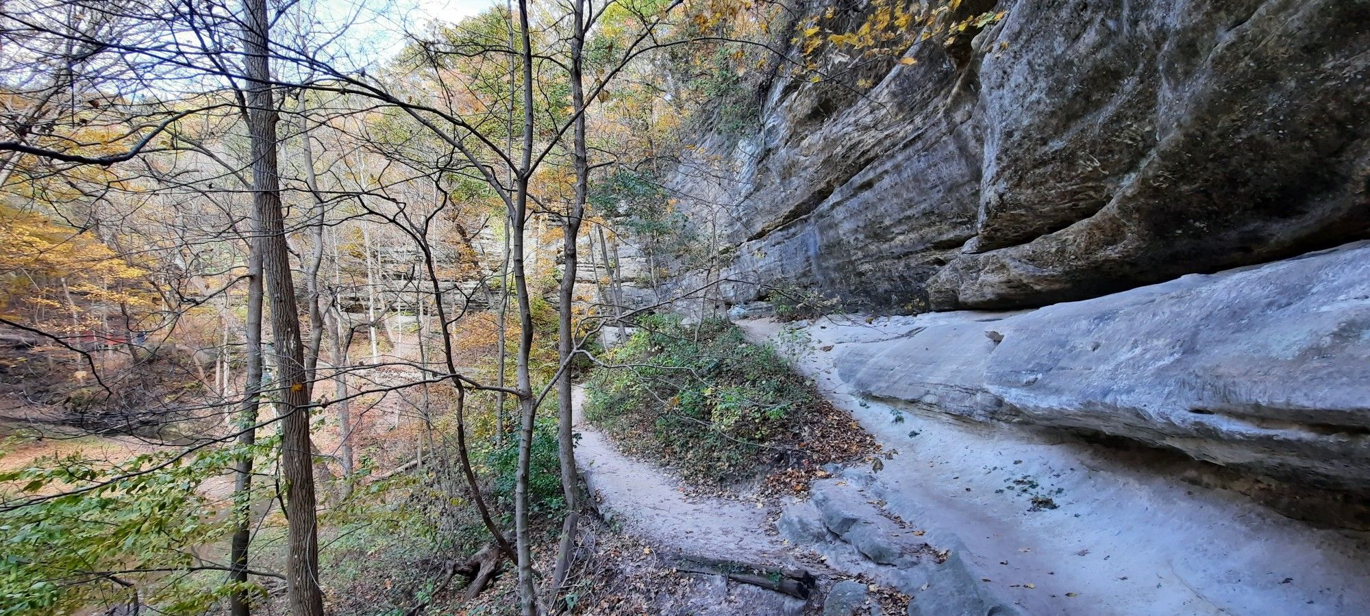 Narrow dirt path winding along a tall rock cliff in a forested canyon. - La Salle Canyon