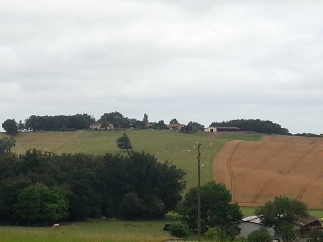Landschaft im Gers