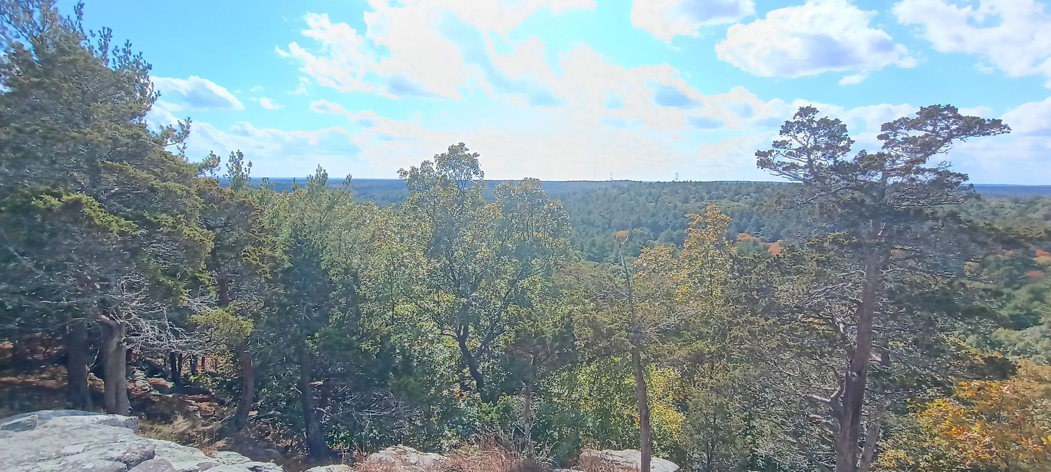 Bluff Hill View