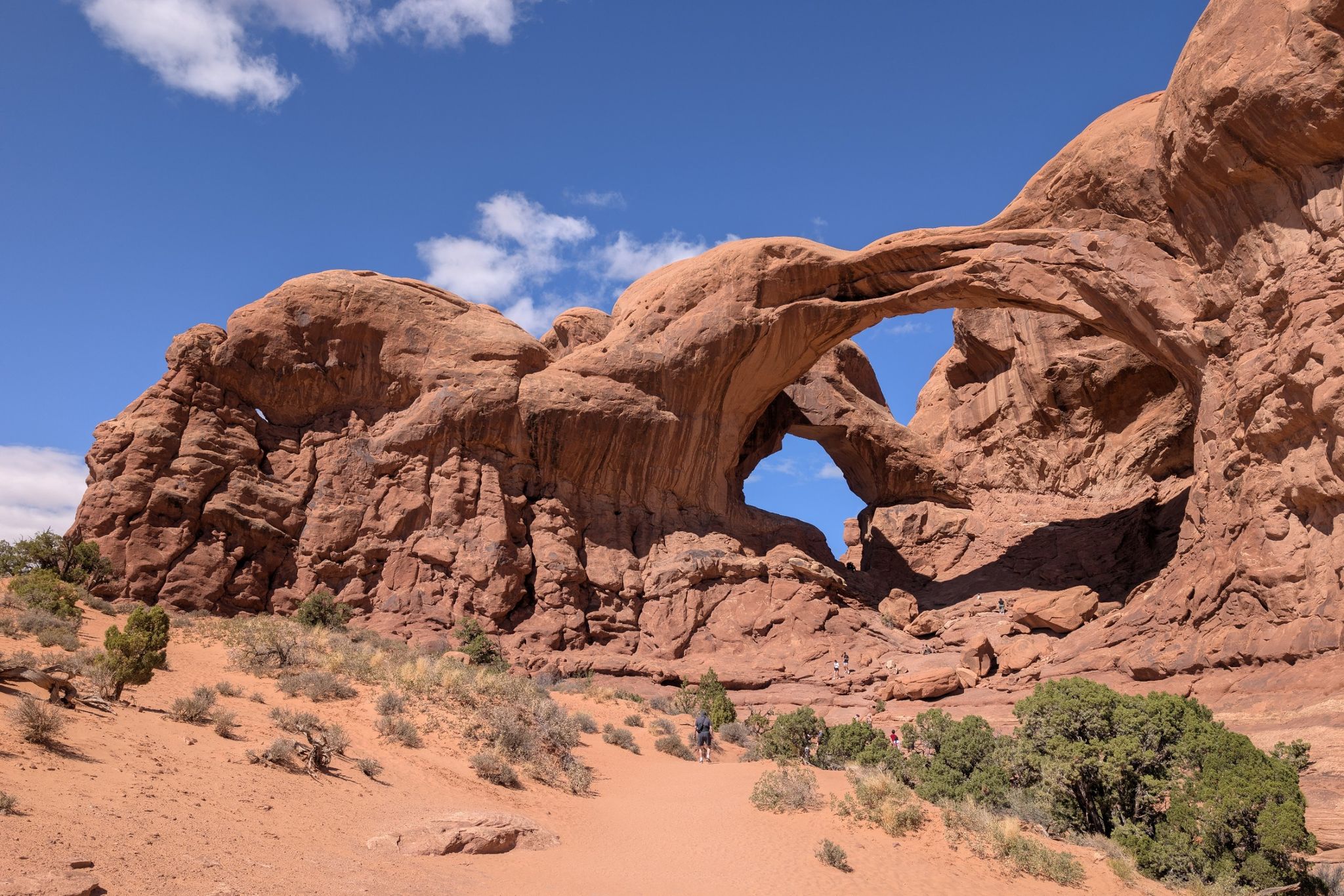 Multiple red rock arches and formations in a sunny desert landscape. - Windows Trail