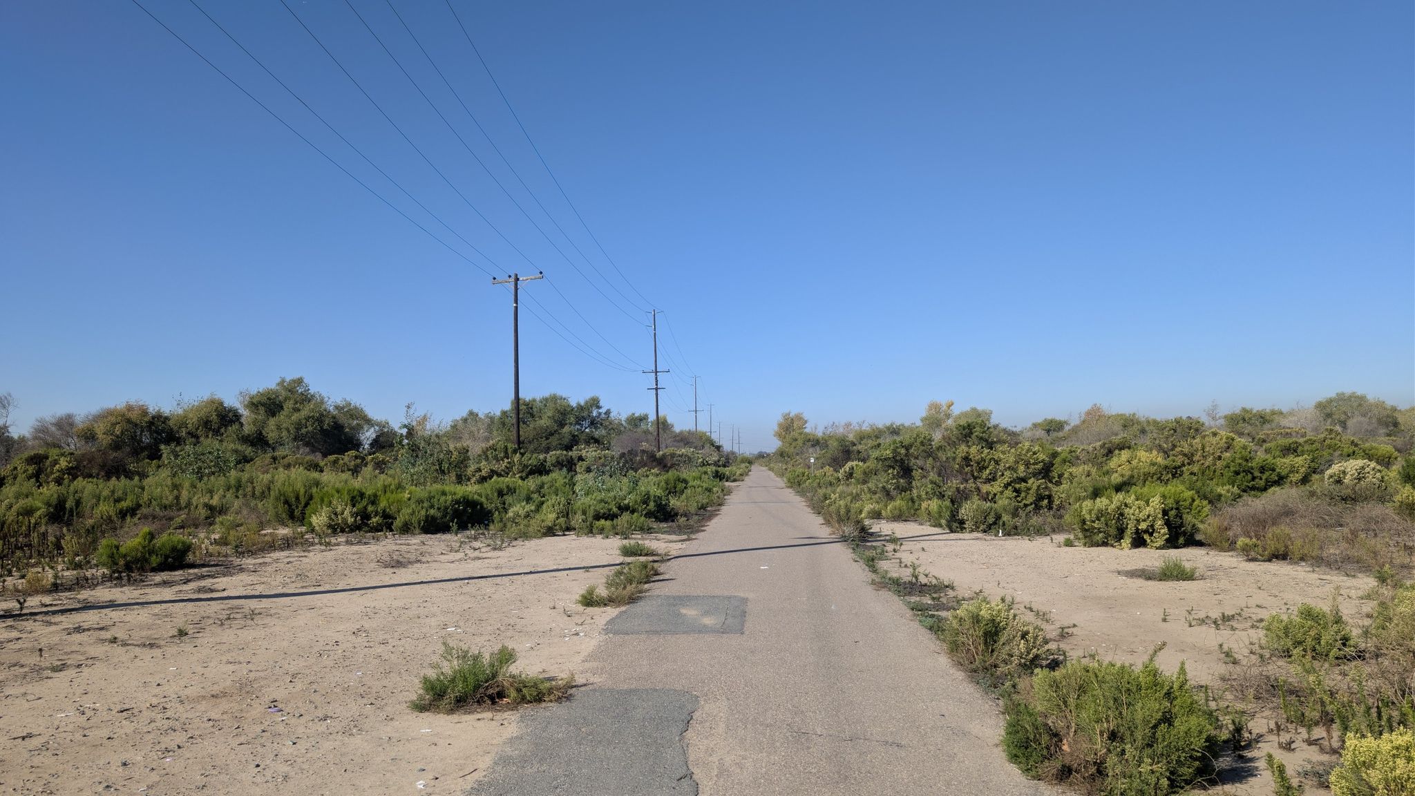 Paved path stretches into distance, flanked by dry scrub under clear blue sky. - Olympic Parkway to Tijuana River Valley Regional Park loop