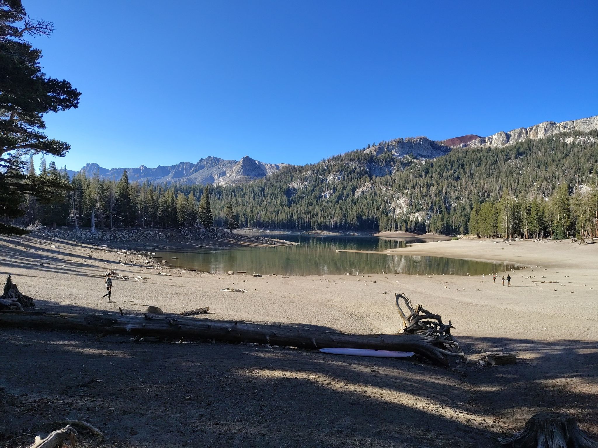 A person walks on a wide sandy shore next to a lake and forested mountains. - Horseshoe Lake Trail