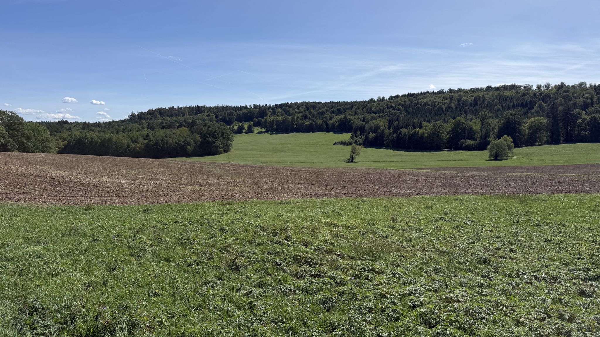 Herrliche Landschaft rund um die St. Wendelinus Kapelle