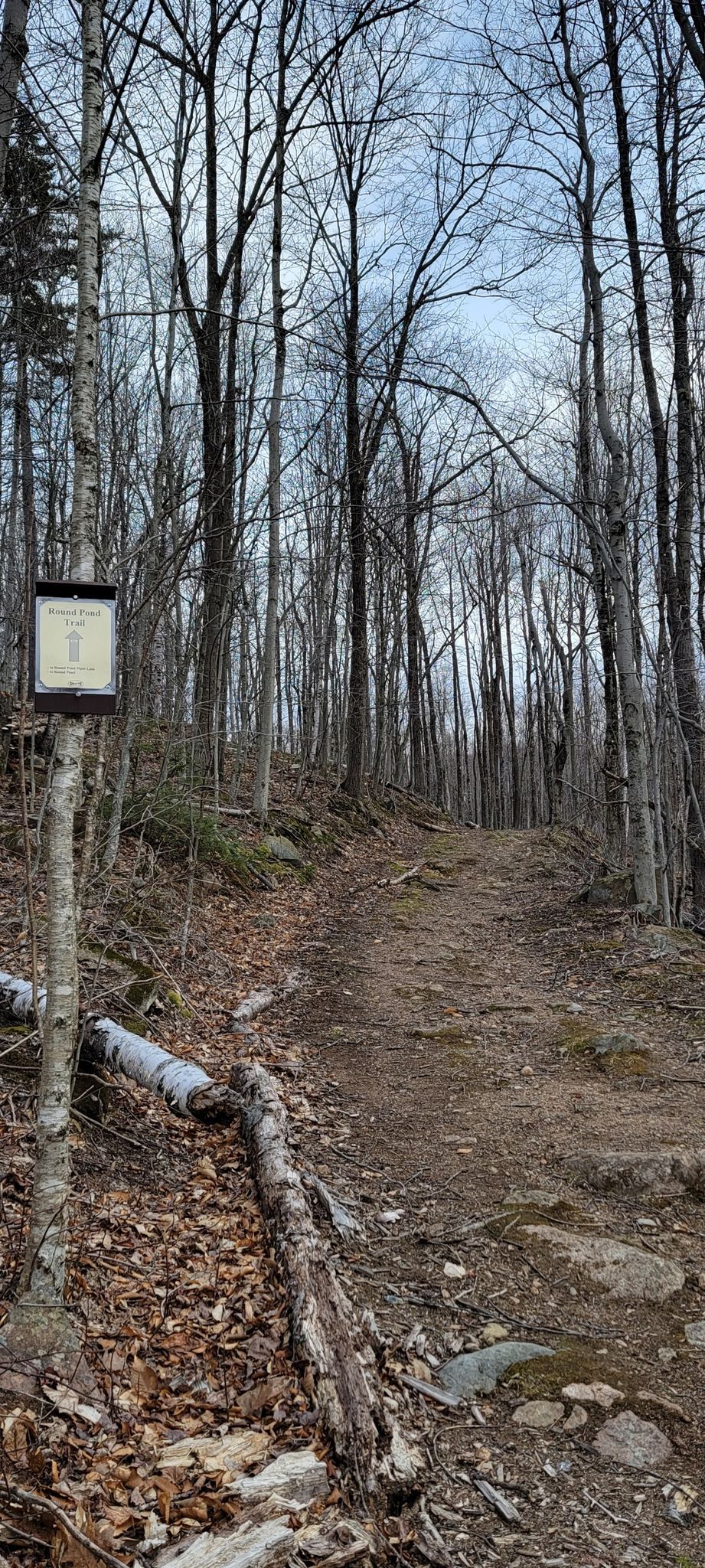 A dirt trail through a bare forest with a trail sign. - Belknap Mountain and Round Pond Loop
