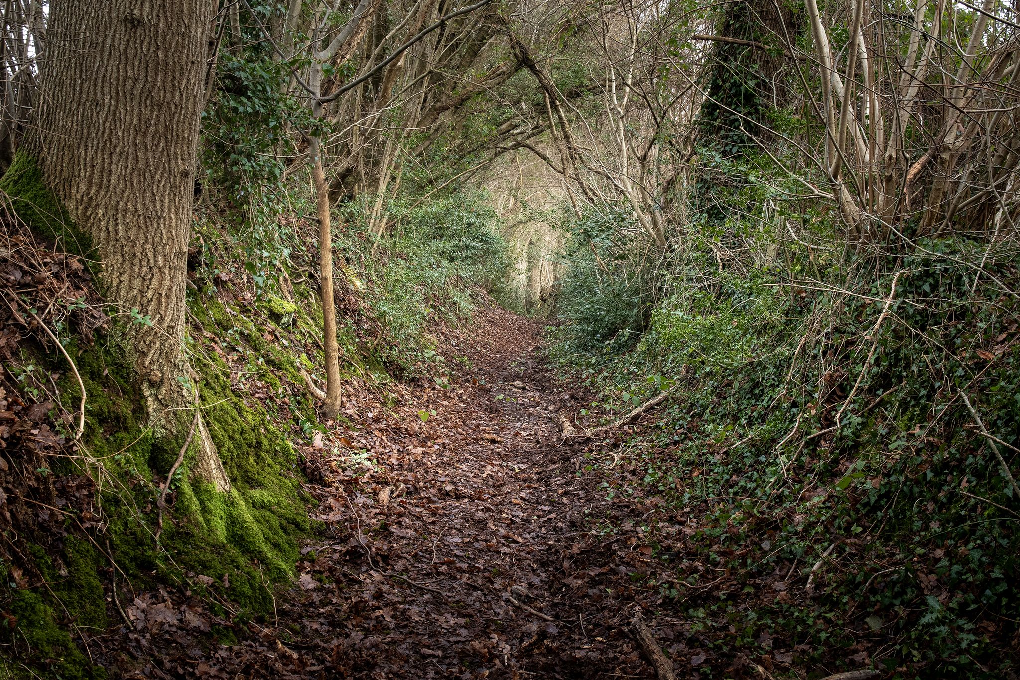 Sunken lane