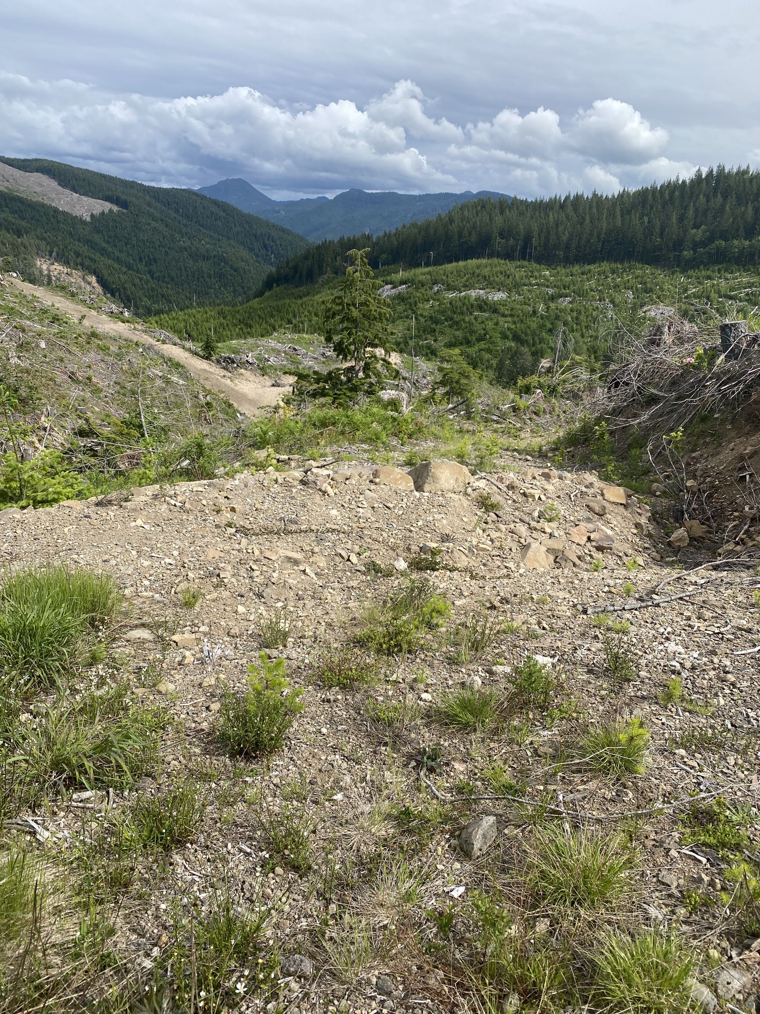 Cleared, rocky hillside with green growth, overlooking a valley and forested mountains. - Lookout Mountain Road Loop