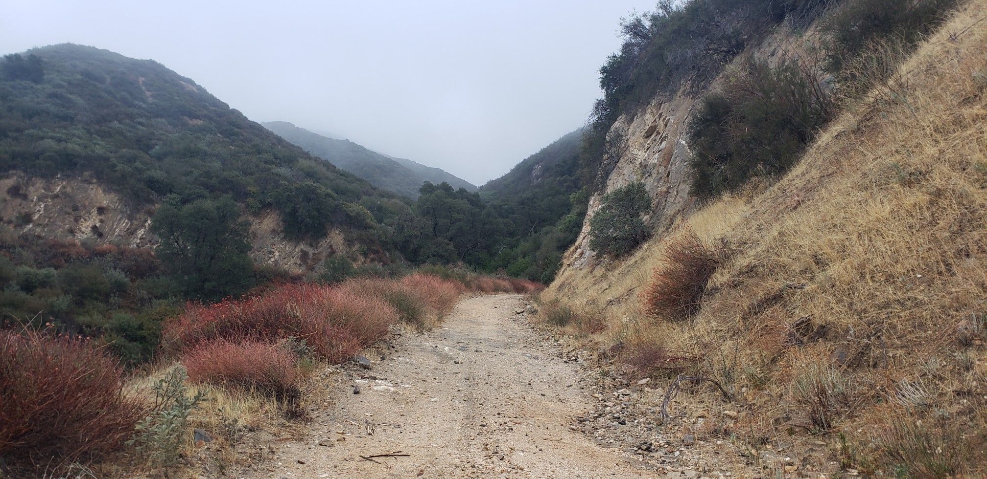 Dirt road winding through a valley with green and red bushes, cloudy day. - Santa Clara River Trail – Santa Clara Trail loop from BLM Open Space