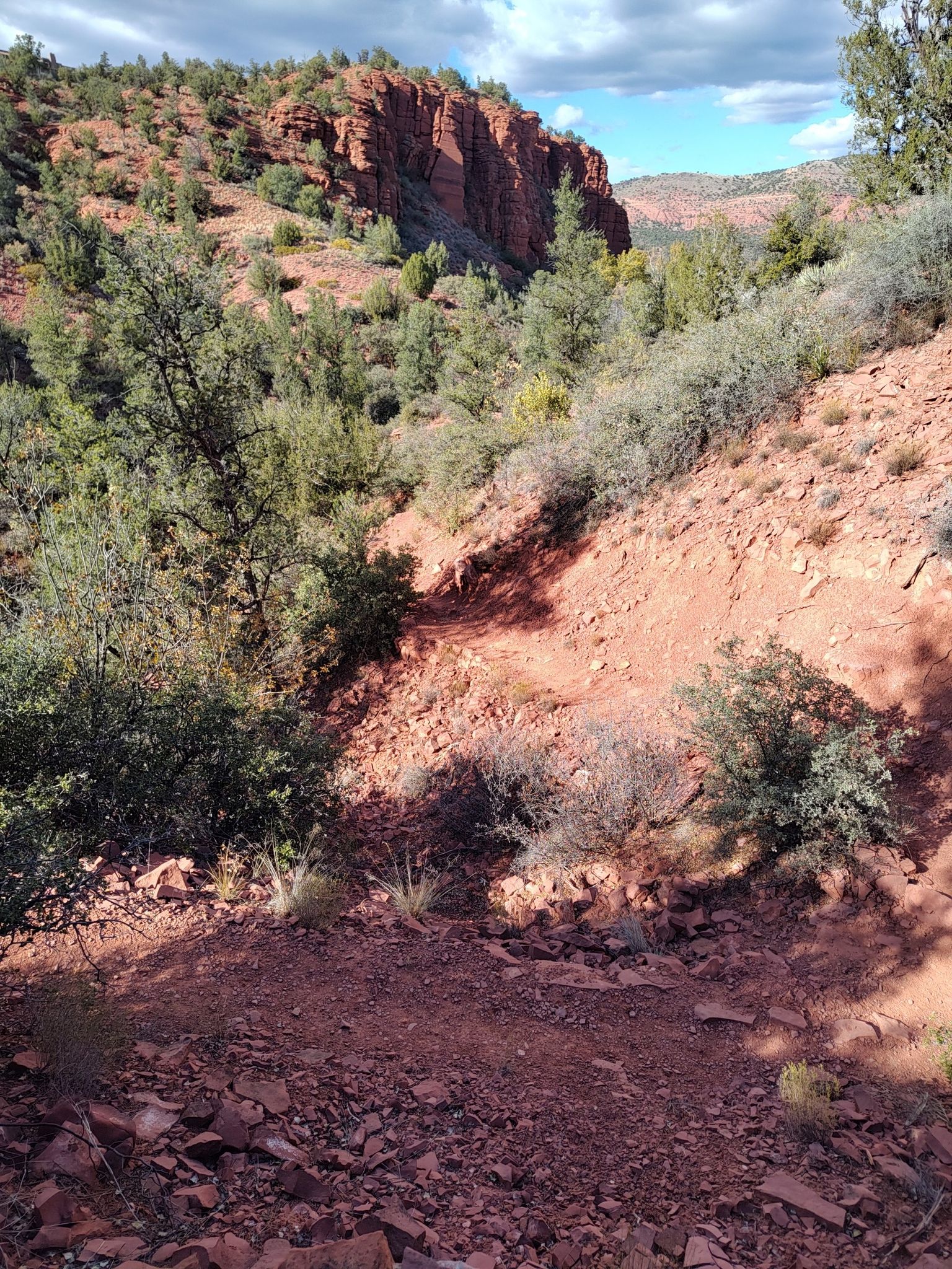 A winding red dirt trail descends into a rocky canyon with green foliage. - Eagle's Nest and Kisva Trail Loop