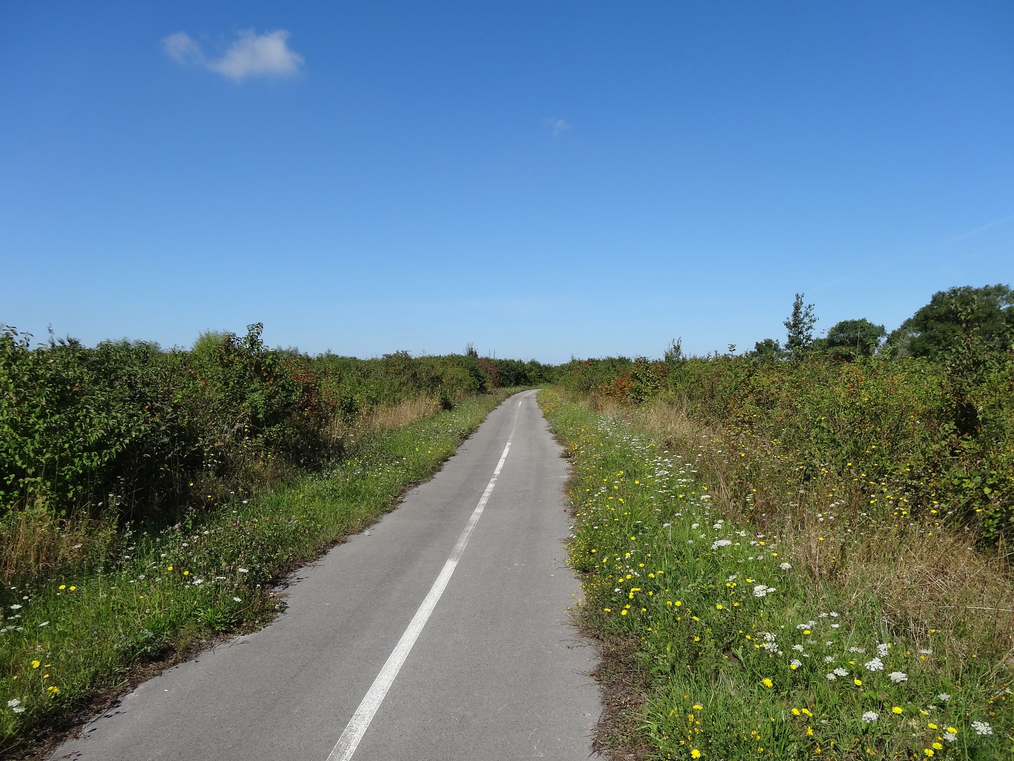 Piste cyclable