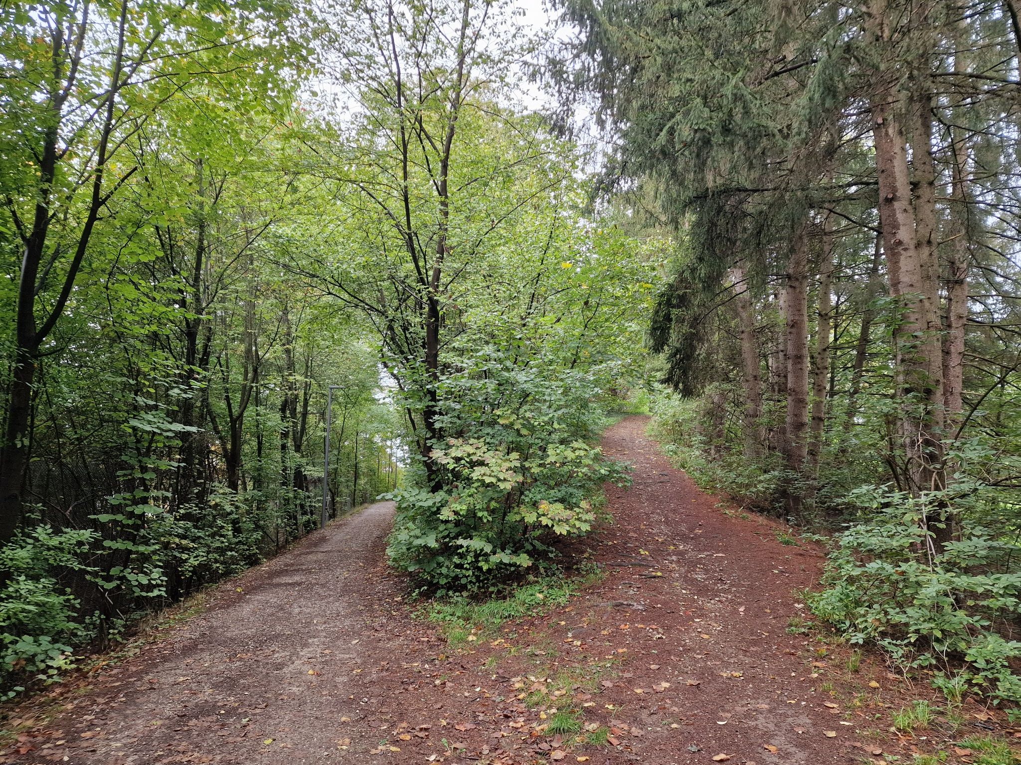 Hier rechter Hand hoch wird in Bälde hoffentlich wieder gerodelt...