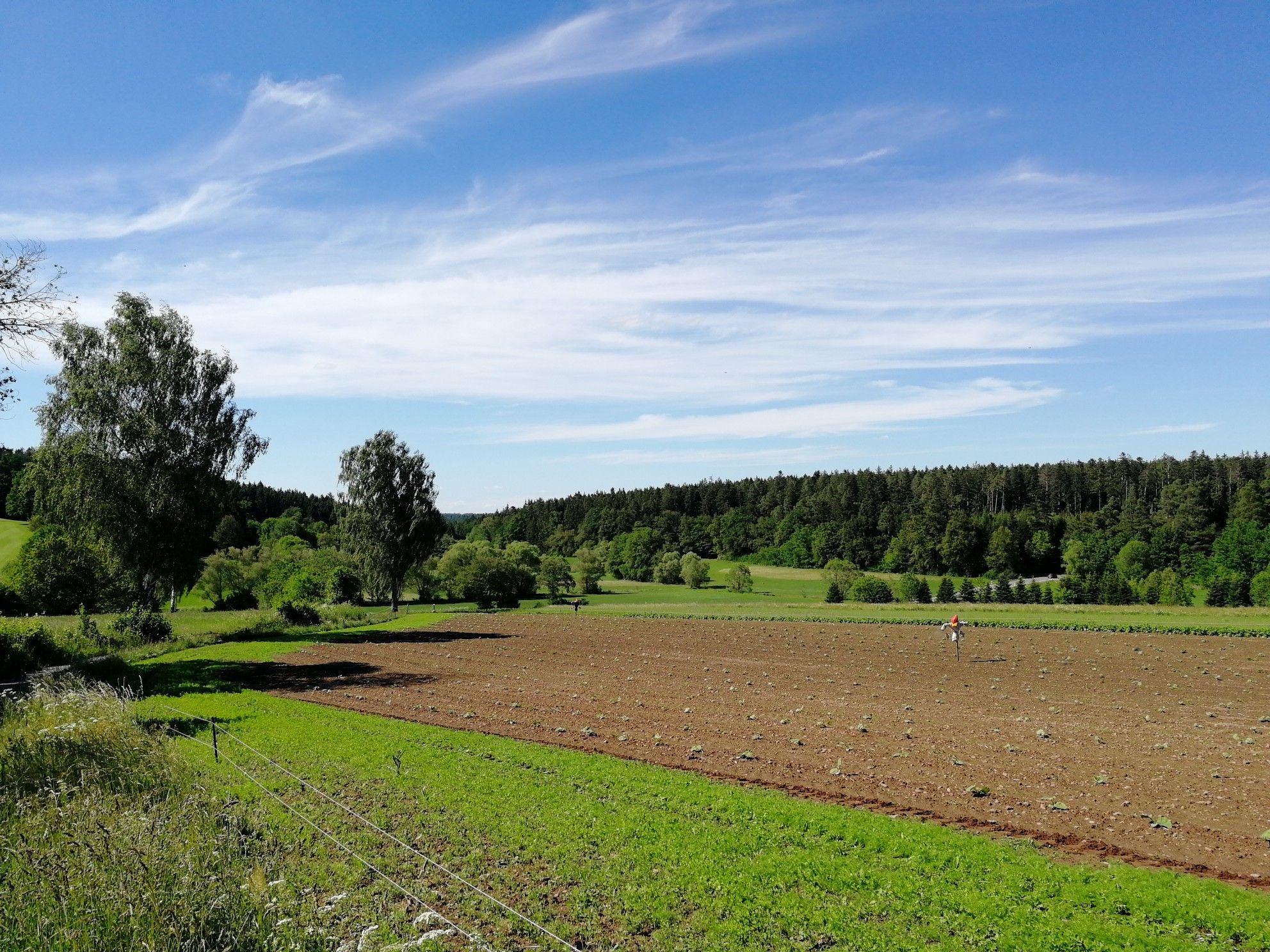 . Monbachtal